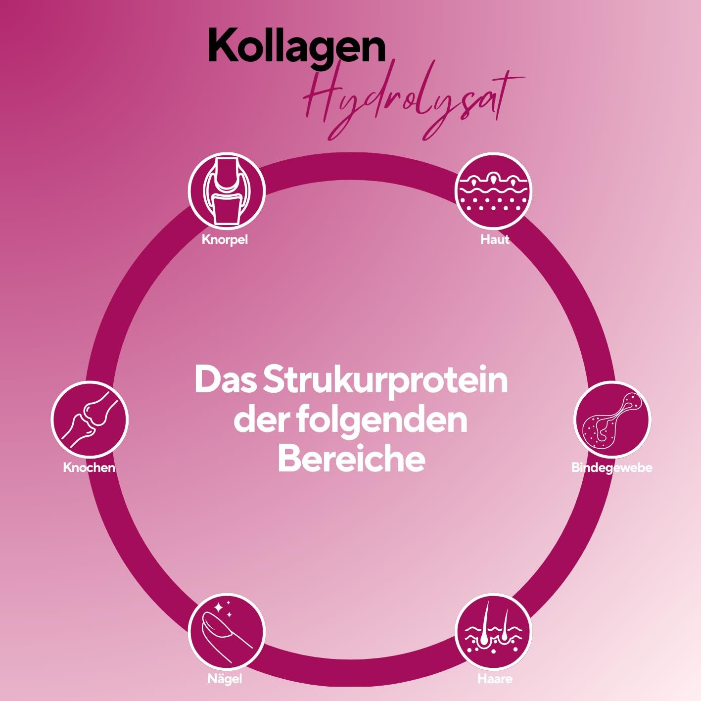 better protein Collagen Pulver – Haut, Haar und Knochen, 100% rein aus Deutschland Pulver, 1 er Ohne Zusatzstoffe - Typ I, II und III - Geschmacksneutral & Wasserlöslich à 300 g