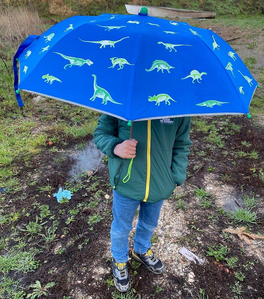 HECKBO Taschenregenschirm Kinder Regenschirm Magic Farbe - wechselt die bei Regen Dino/Dinosaurier