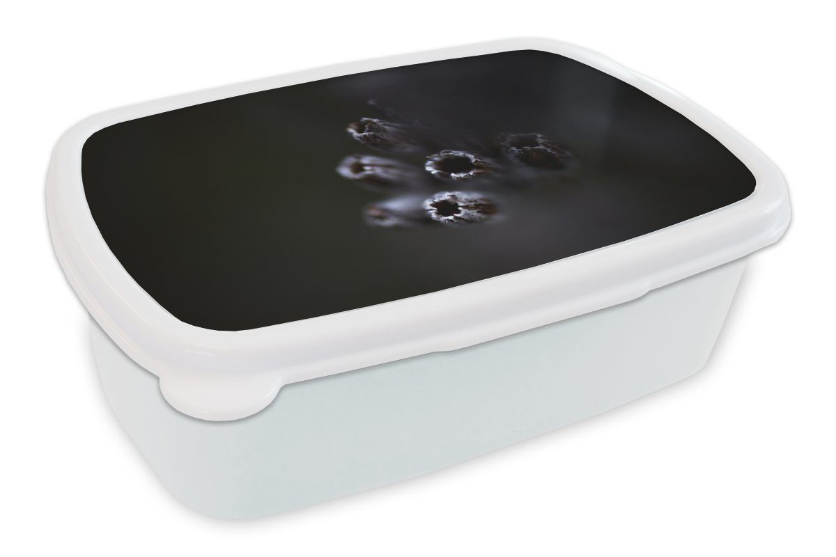 MuchoWow Lunchbox Nahaufnahme von lila Lavendel vor schwarzem Hintergrund, Kunststoff, (2-tlg), Brotbox für Kinder und Erwachsene, Brotdose, für Jungs und Mädchen weiß