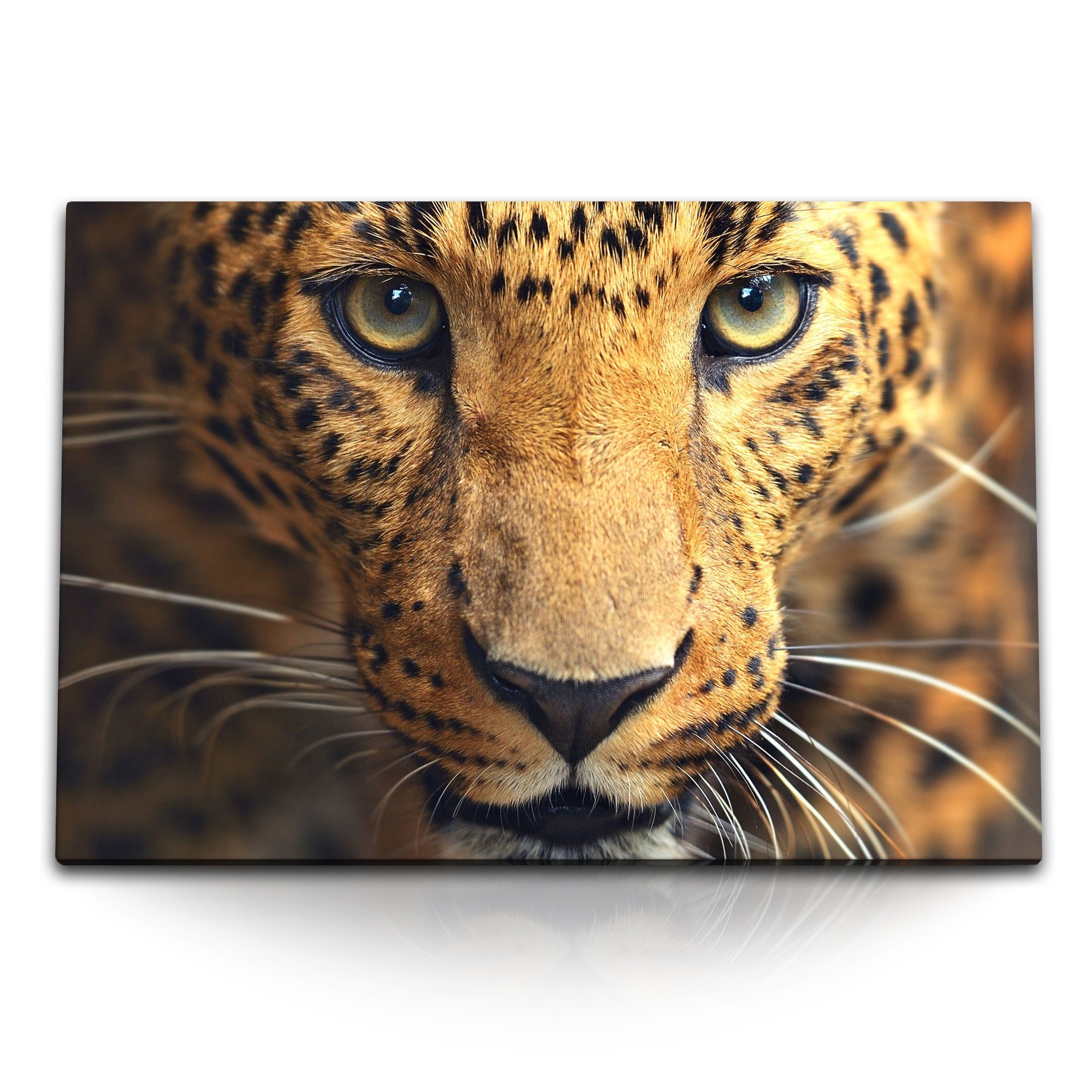 Leinwandbild 120x80cm Wandbild auf Leinwand Amurleopard Leopard Raubkatze Tierfotog