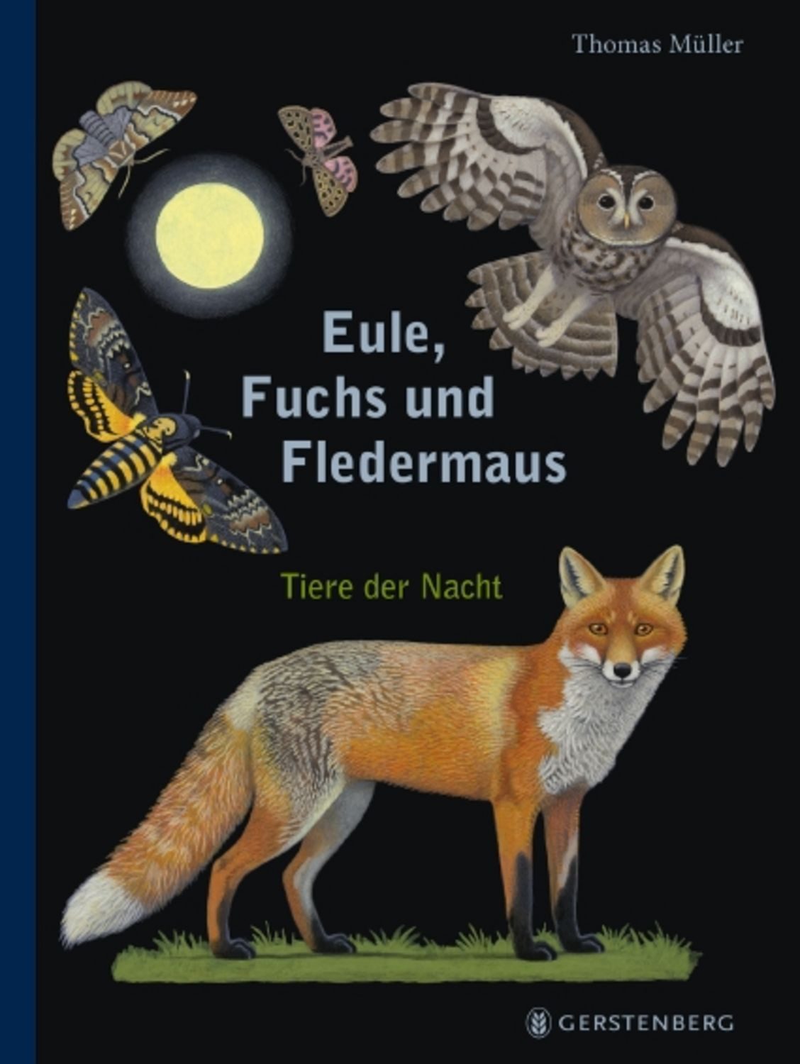 Eule, Fuchs und Fledermaus / Thomas Müller