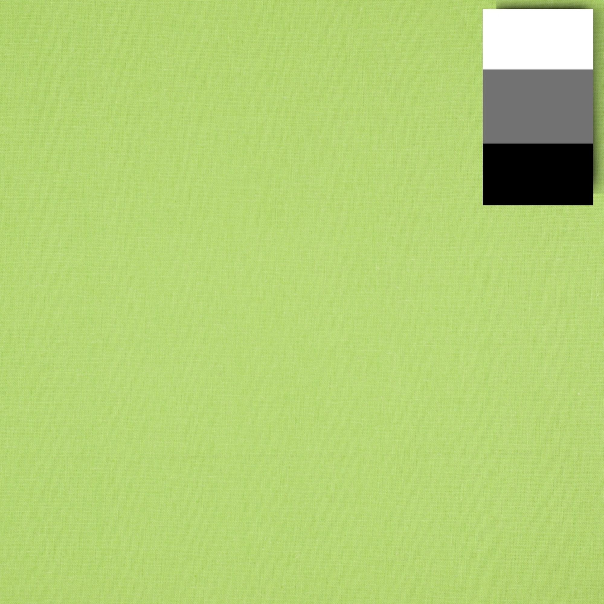 walimex Hintergrundtuch Stoffhintergrund 2,85x6m, hellgrün