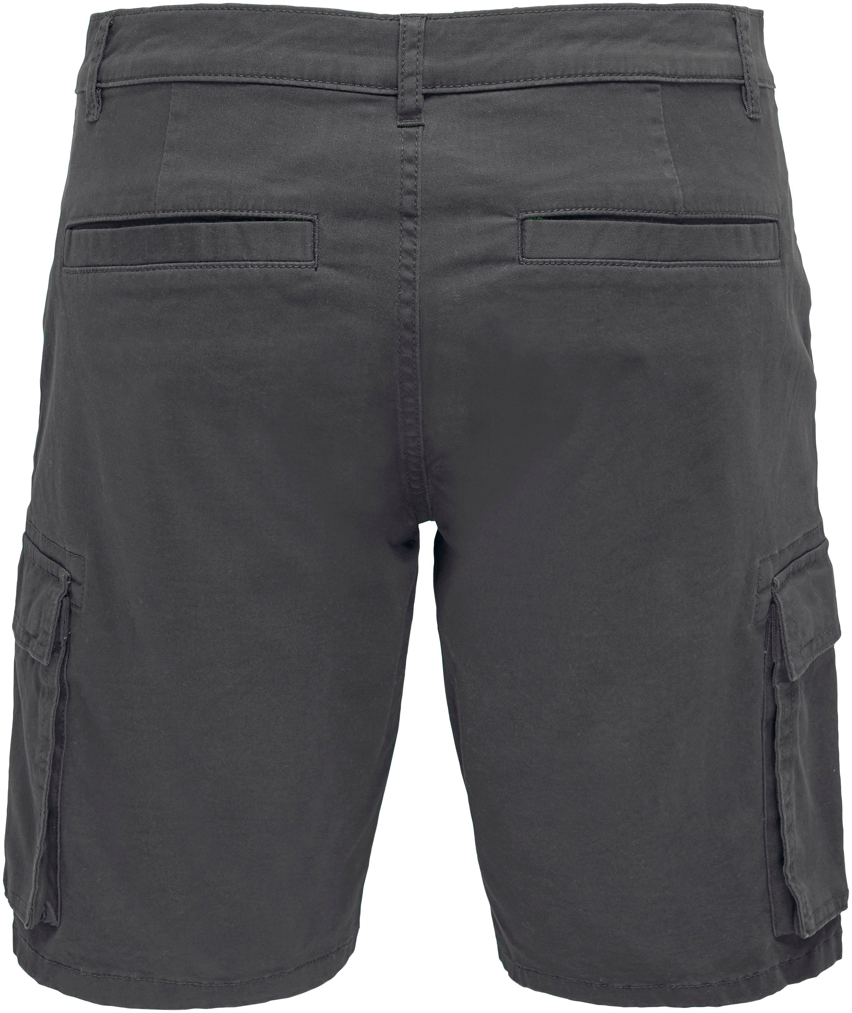 SHORTS Cargoshorts ONLY CAM STAGE SONS & CARGO grau