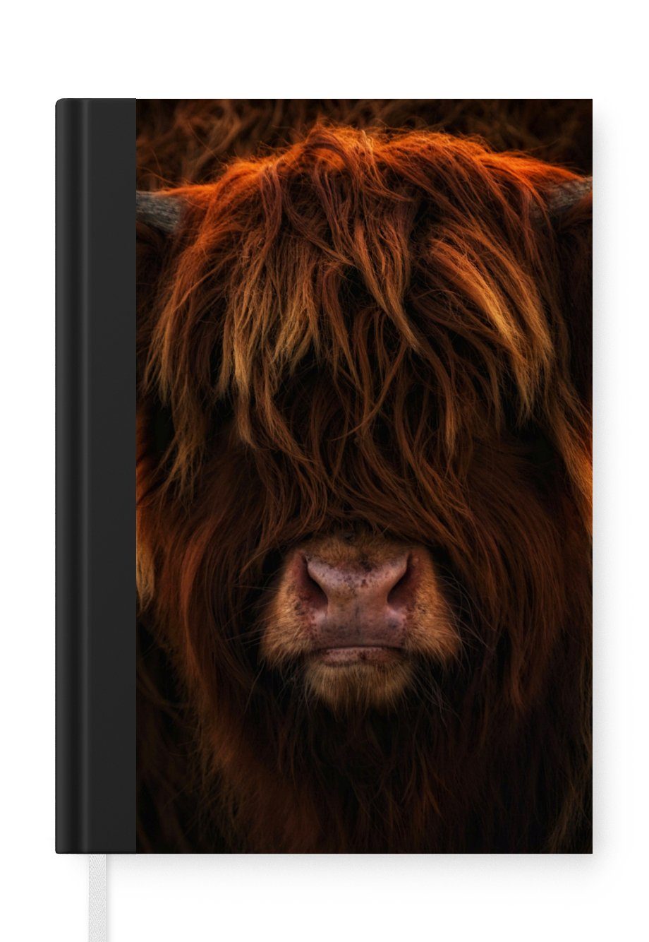 MuchoWow Notizbuch Schottischer Highlander - Kuh - Porträt - Tiere, Journal, Merkzettel, Tagebuch, Notizheft, A5, 98 Seiten, Haushaltsbuch