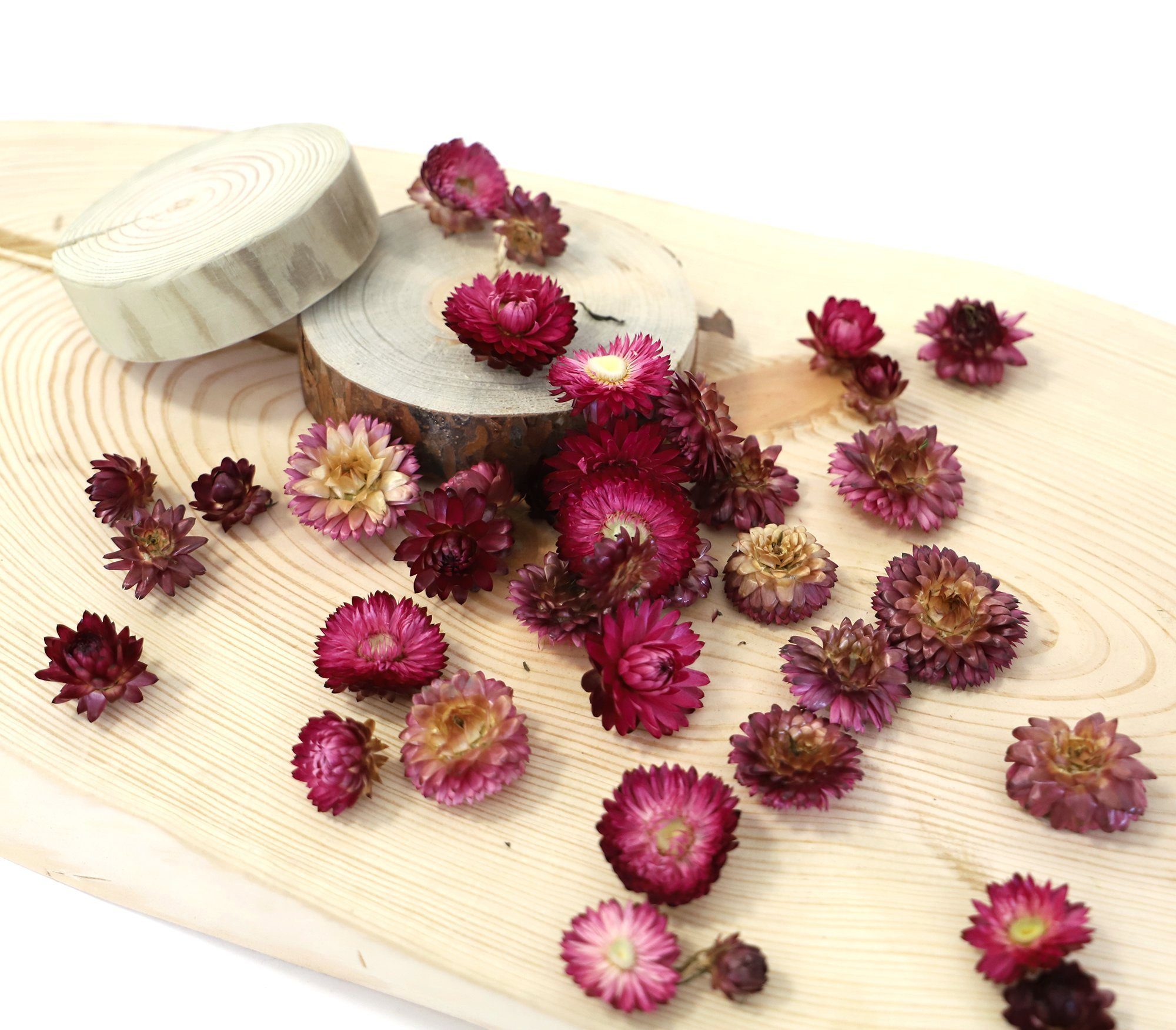 Helichrysum Kunstharz.Art farblich - sortiert Trockenblume Strohblumenköpfe getrocknet: gemischt oder Rosa,