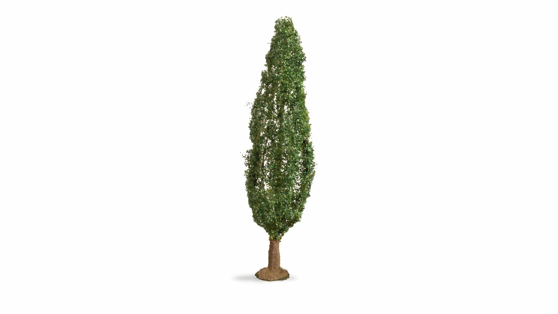NOCH Modelleisenbahn-Baum NOCH® Pappel, Modellbaum im Grünen, 18 cm hoch für, Pflanzen