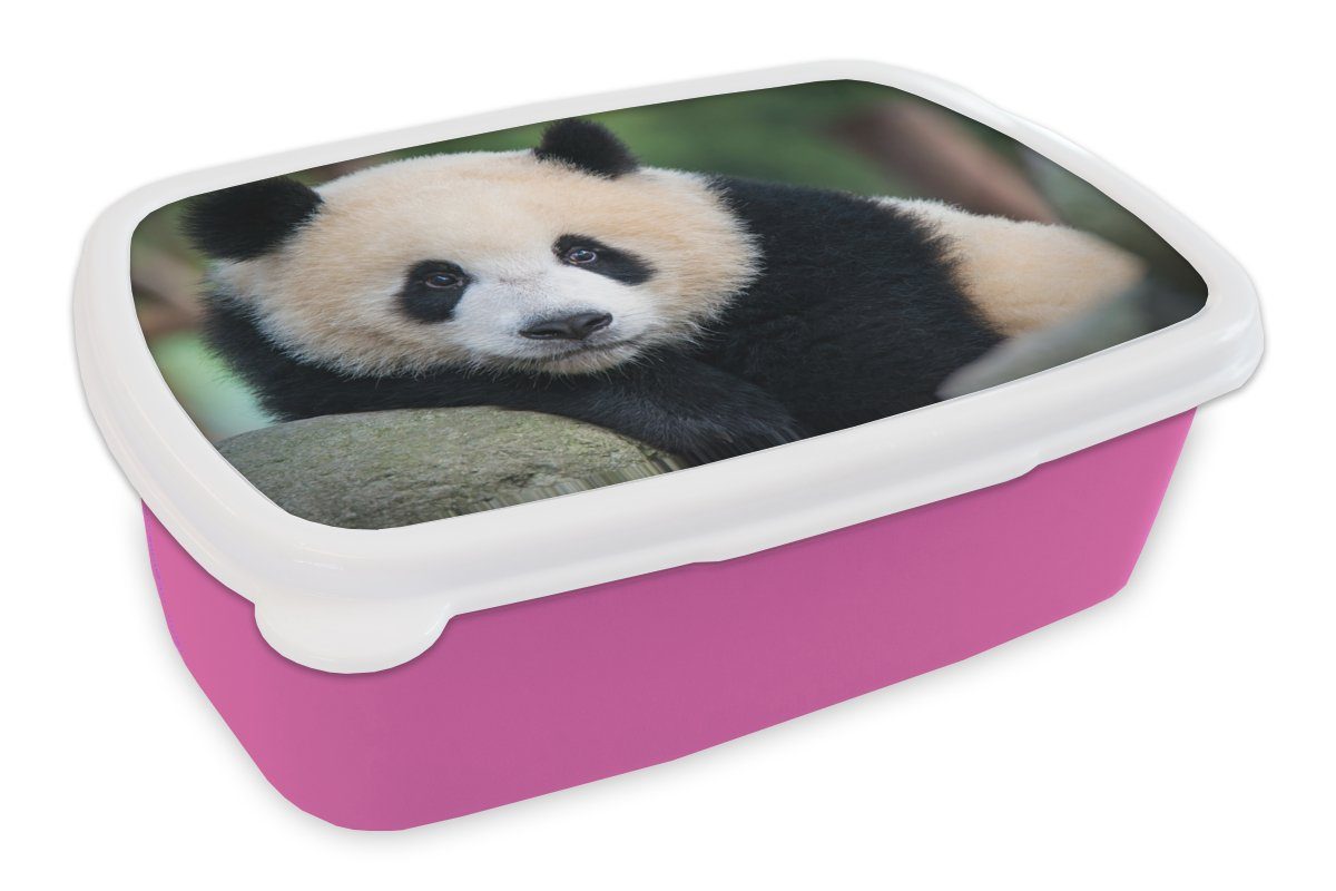 Porträt - Erwachsene, für Lunchbox (2-tlg), Wildtiere Brotbox Kunststoff Kinder, Kunststoff, Stein, - Snackbox, Mädchen, Brotdose - Panda rosa MuchoWow