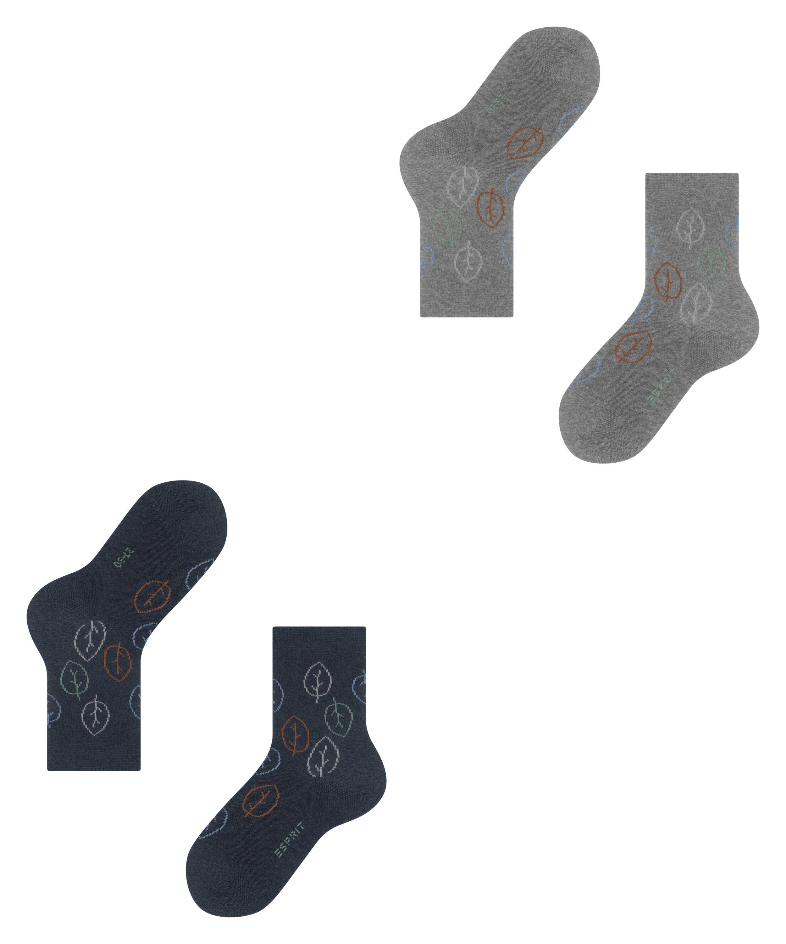2-Pack (2-Paar) (0020) Esprit Forest Socken sortiment