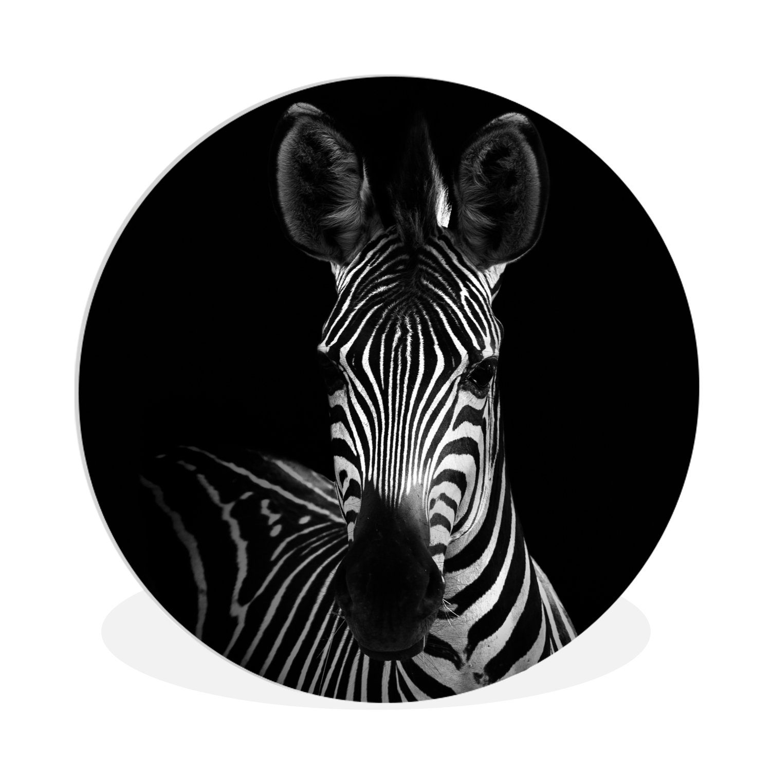 MuchoWow Gemälde Zebra - Schwarz - cm Rundes 30x30 - Kreis Tiere, Wohnzimmer, (1 Wandbild, Wanddekoration Forex, Weiß St)
