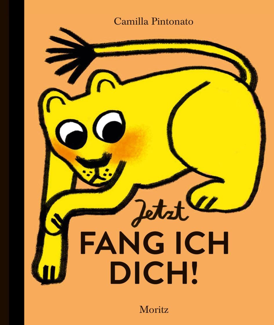 Kinderbuch Jetzt fang ich dich! Camilla Pintonato