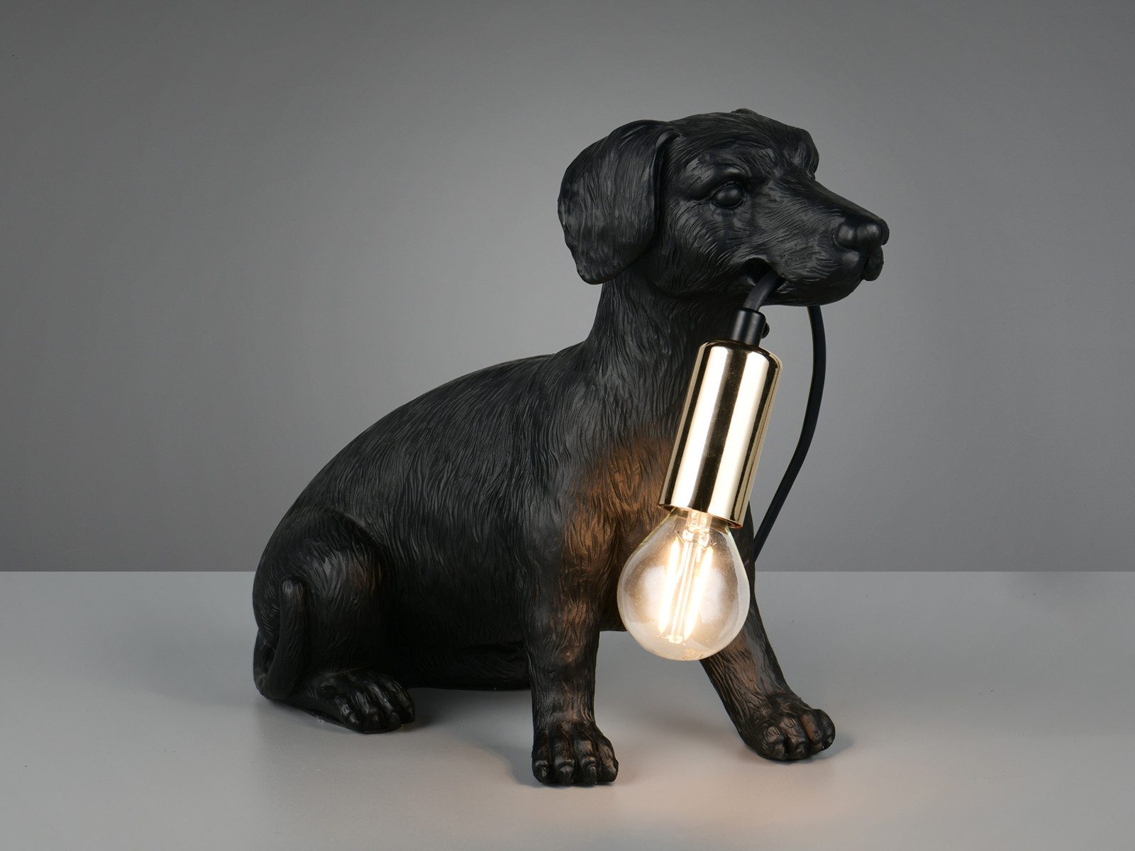 Reality Leuchten LED Tischleuchte aus Kunststoff Hundelampe, Höhe 23,5cm, dimmbar, LED wechselbar, warmweiß, besondere Nacht-tischlampe ausgefallene Tierlampe D – Bild 3 von 5
