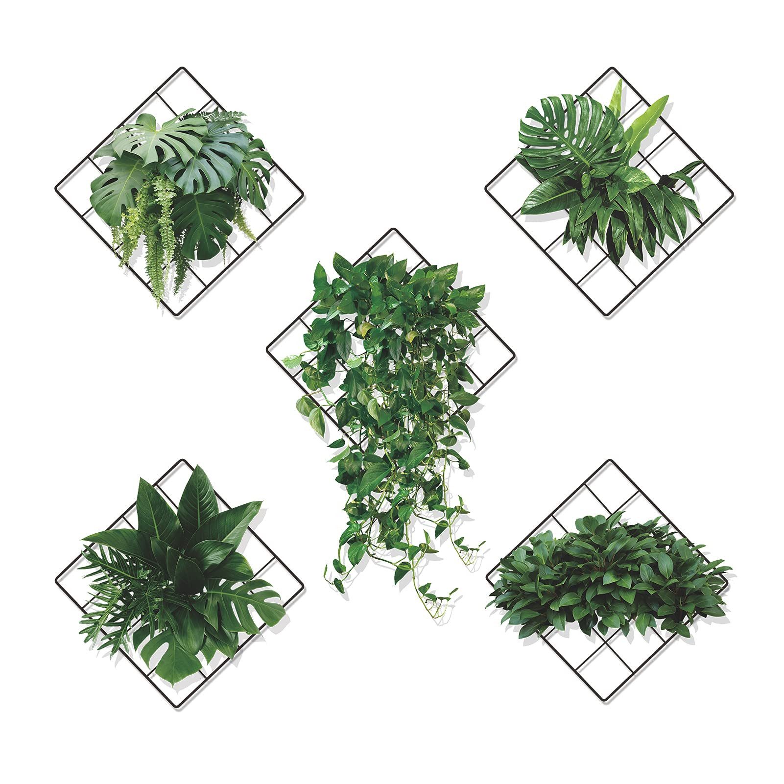 Coonoor Wandsticker Grünen Pflanzen Wandaufkleber, Efeu Blätter Wandsticker günstig online kaufen