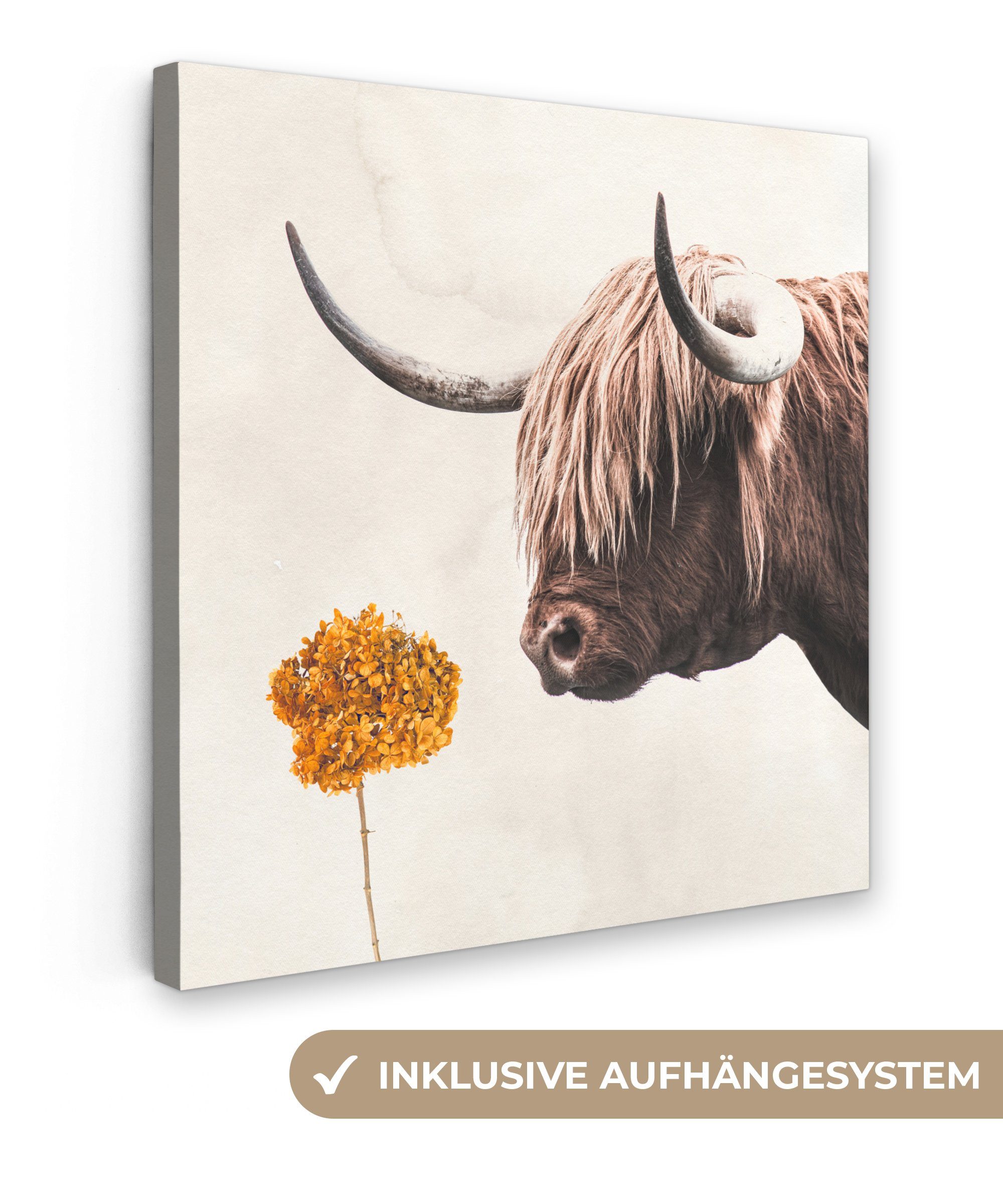 OneMillionCanvasses® Leinwandbild Schottischer Highlander - Kuh - Blume, (1 St), Leinwand Bilder für Wohnzimmer Schlafzimmer, 20x20 cm