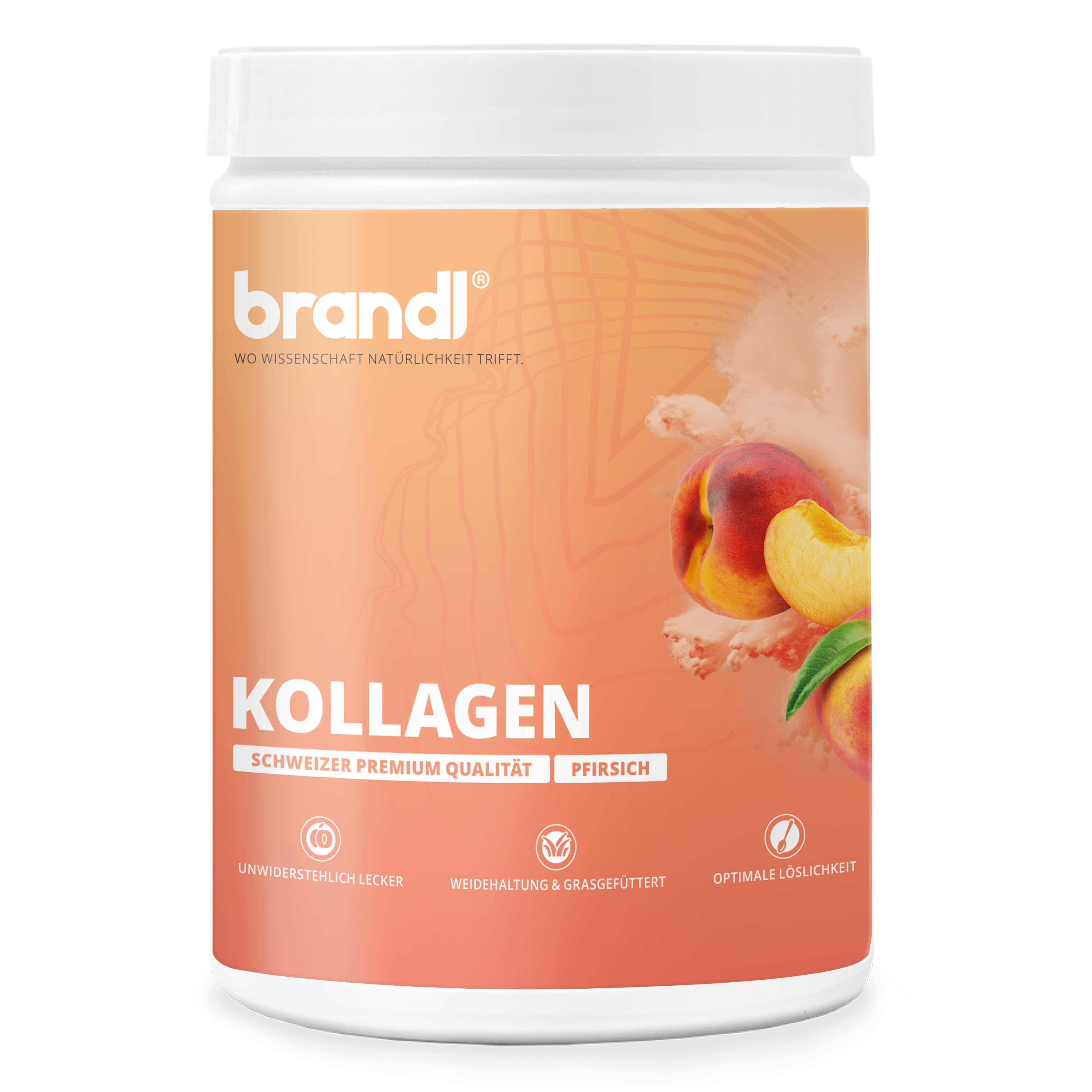 Brandl Nutrition Pulver, 1110 g