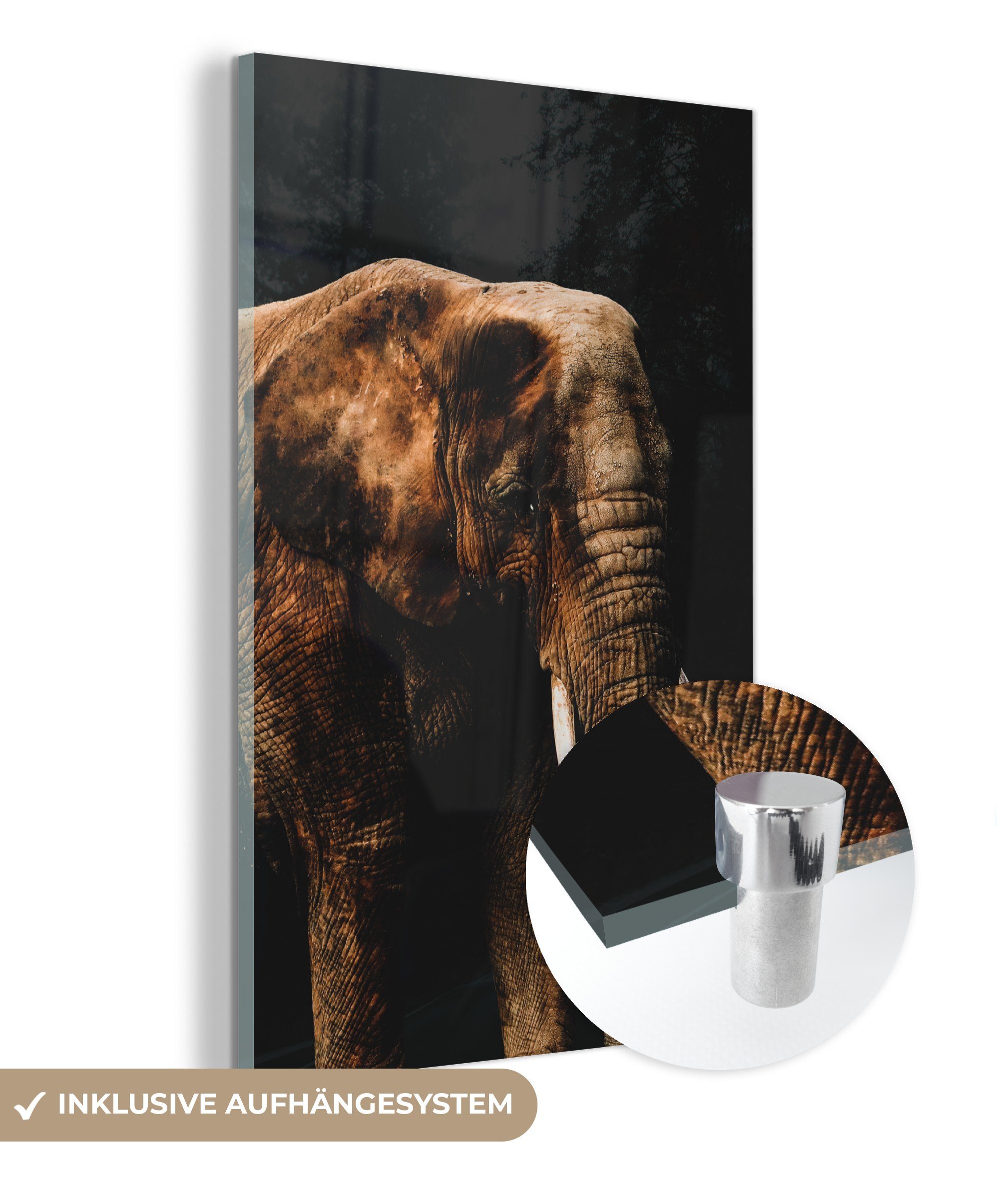 MuchoWow - Glasbilder Elefant (1 - Farbe, Wanddekoration Foto auf St), Acrylglasbild Glas Glas auf bunt - Wandbild Bilder Schwarz - -