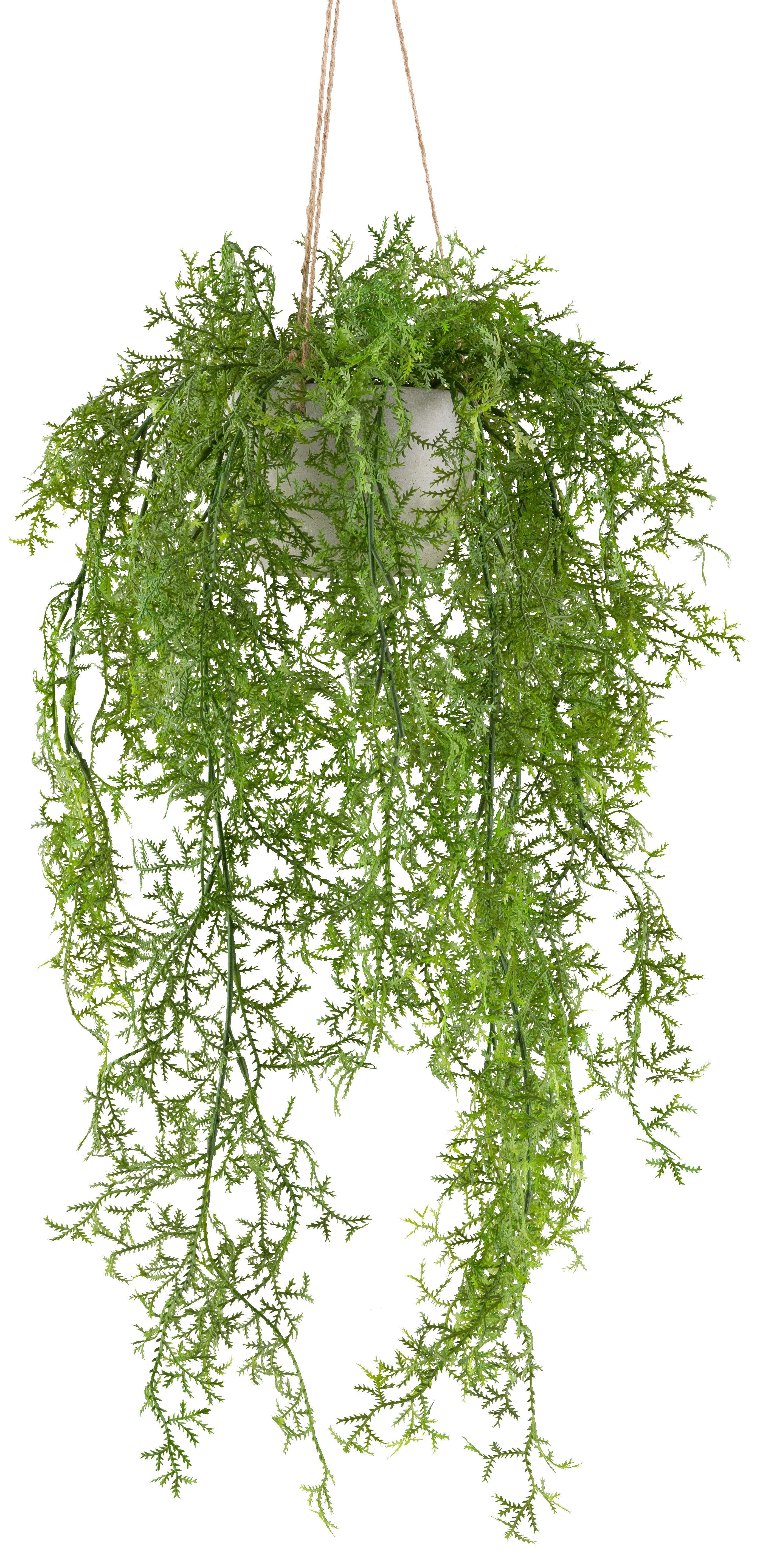 Kunstranke Moosfarn, Creativ green, Höhe 60 cm, mit üppigen Ranken günstig online kaufen