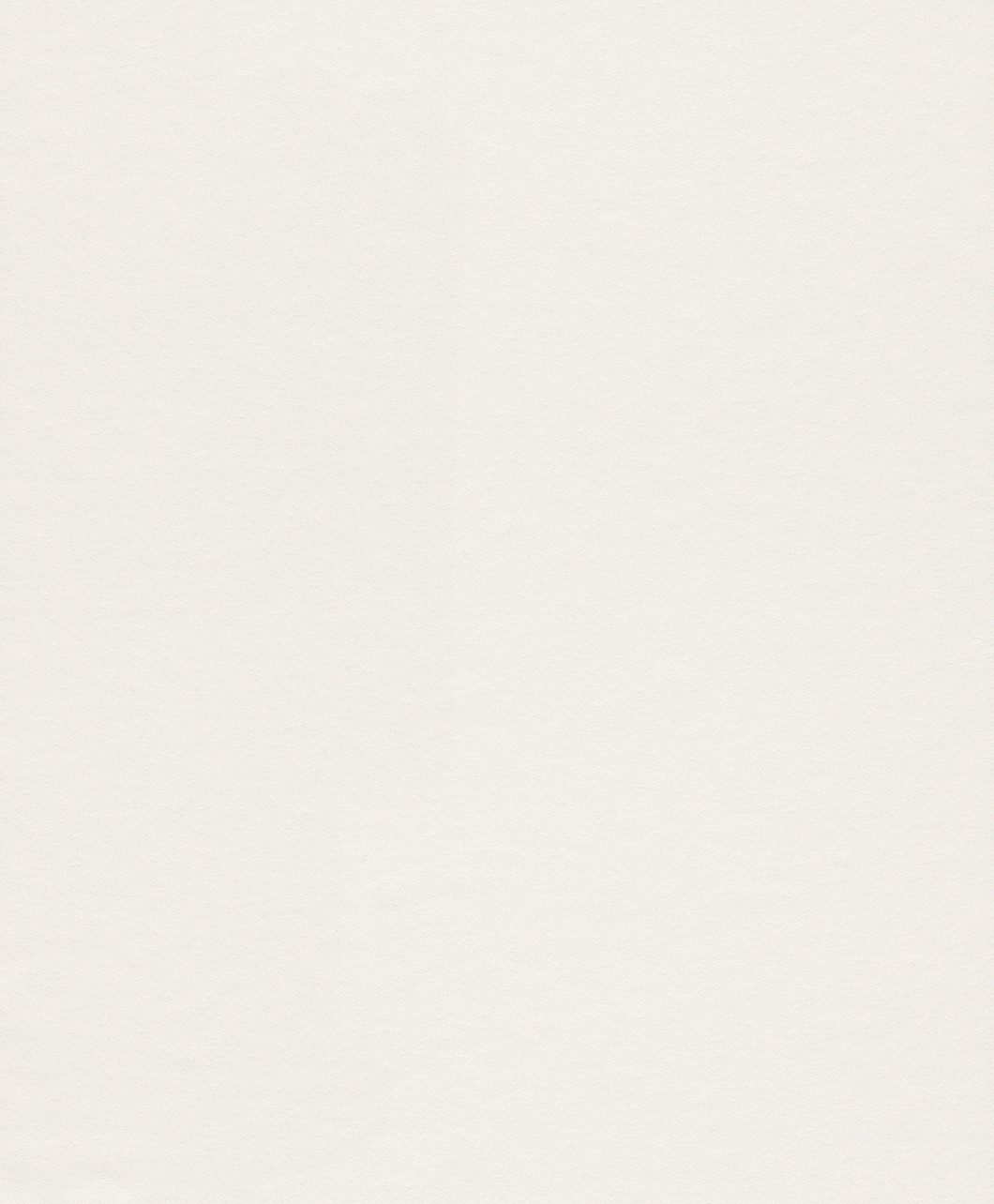 Rasch Vliestapete Makulaturvlies 25,00 m x 1,06 m, glatt, Glattvlies, (1 Rolle, 1 St), doppelbreit (106cm), überstreichbar