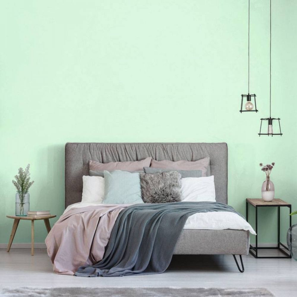 SCHÖNER WOHNEN FARBE Wandfarbe SW Trend Wandfarbe matt 1,0L macaron 6509