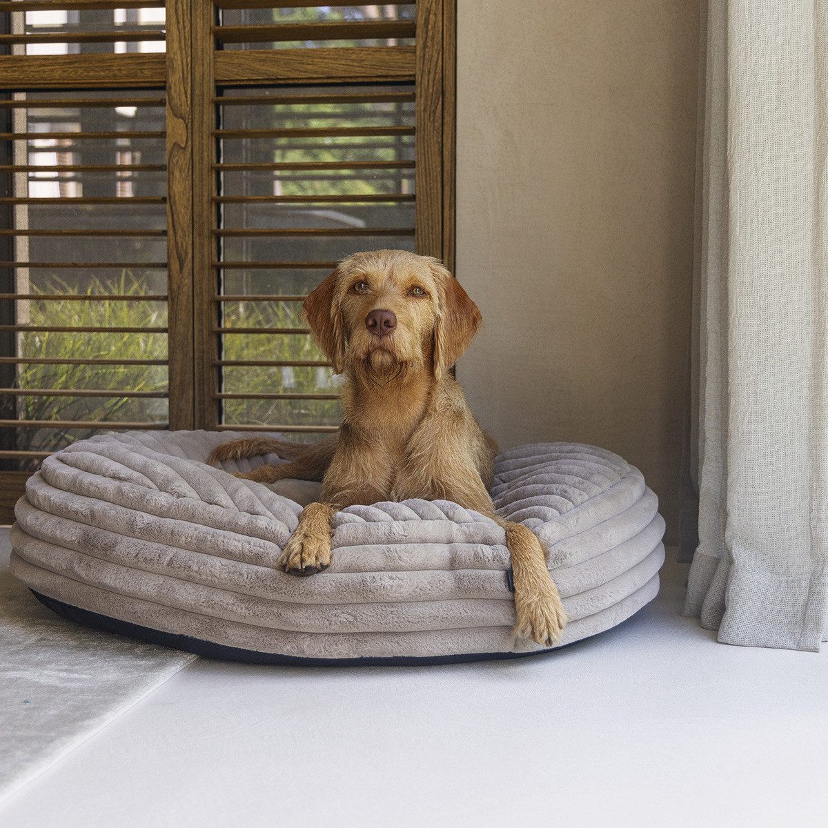 Designed By Lotte Tierkissen Hundekissen Reza günstig online kaufen