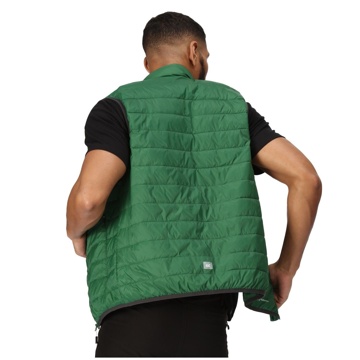 Softshellweste Grün Regatta Herren Hillpack Steppweste/Bodywarmer für