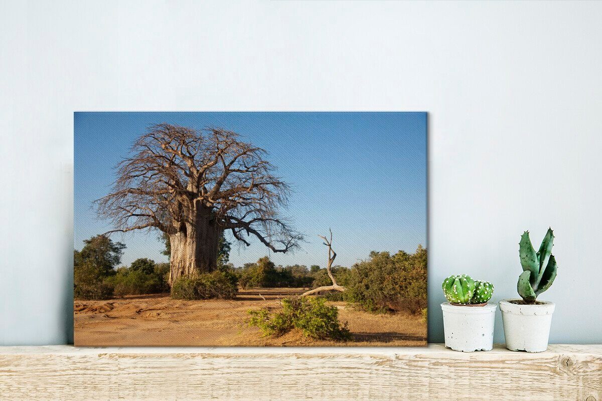 OneMillionCanvasses® Leinwandbild Fantastischer Boabab St), Leinwandbilder, Wandbild im Park, Zambezi (1 cm 30x20 Wanddeko, Lower Aufhängefertig, National