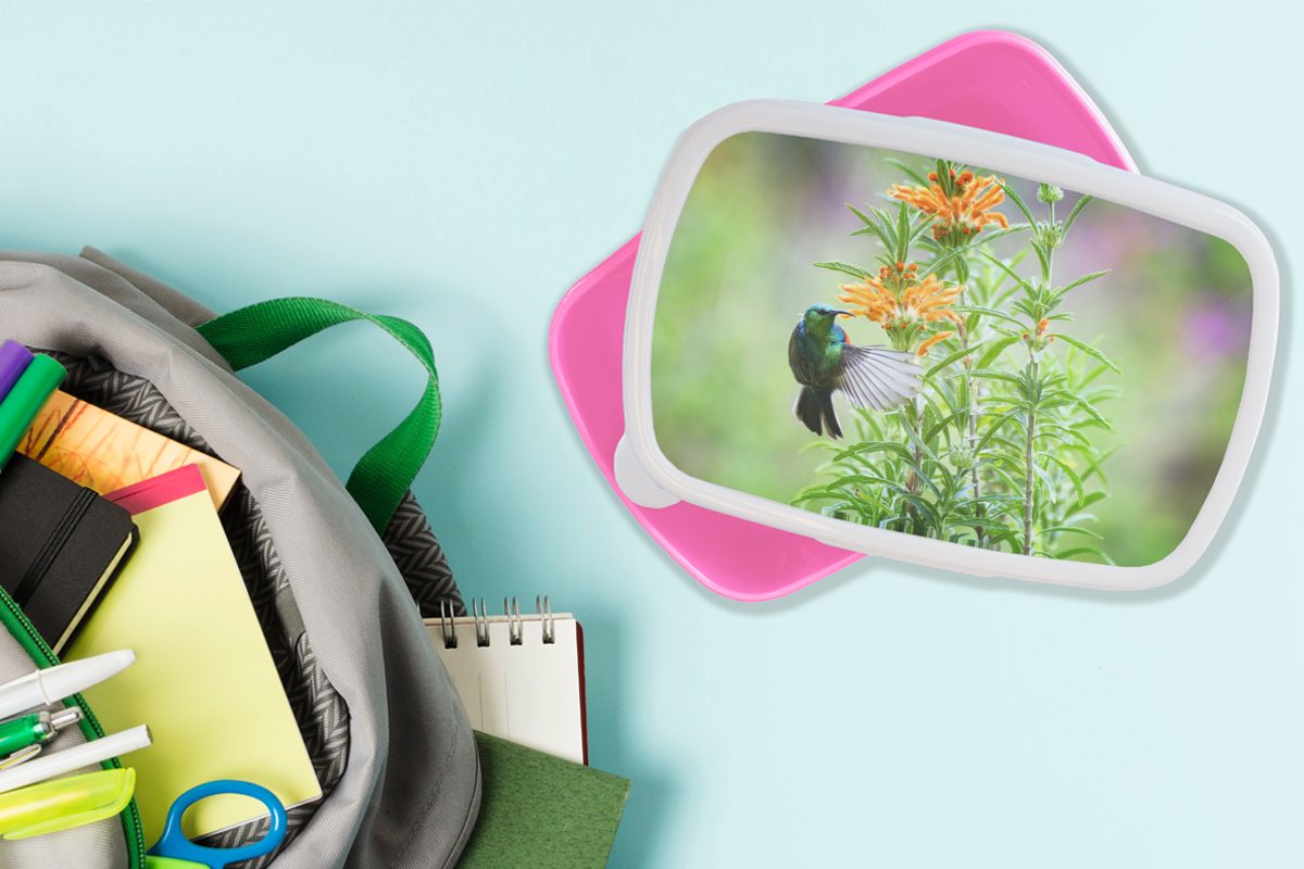 mit Lunchbox Vogels Kinder, Mädchen, Pflanzen MuchoWow Snackbox, Kunststoff, eines bunten (2-tlg), Nahaufnahme Brotbox rosa Erwachsene, orangefarbenen, Kunststoff Brotdose neben für