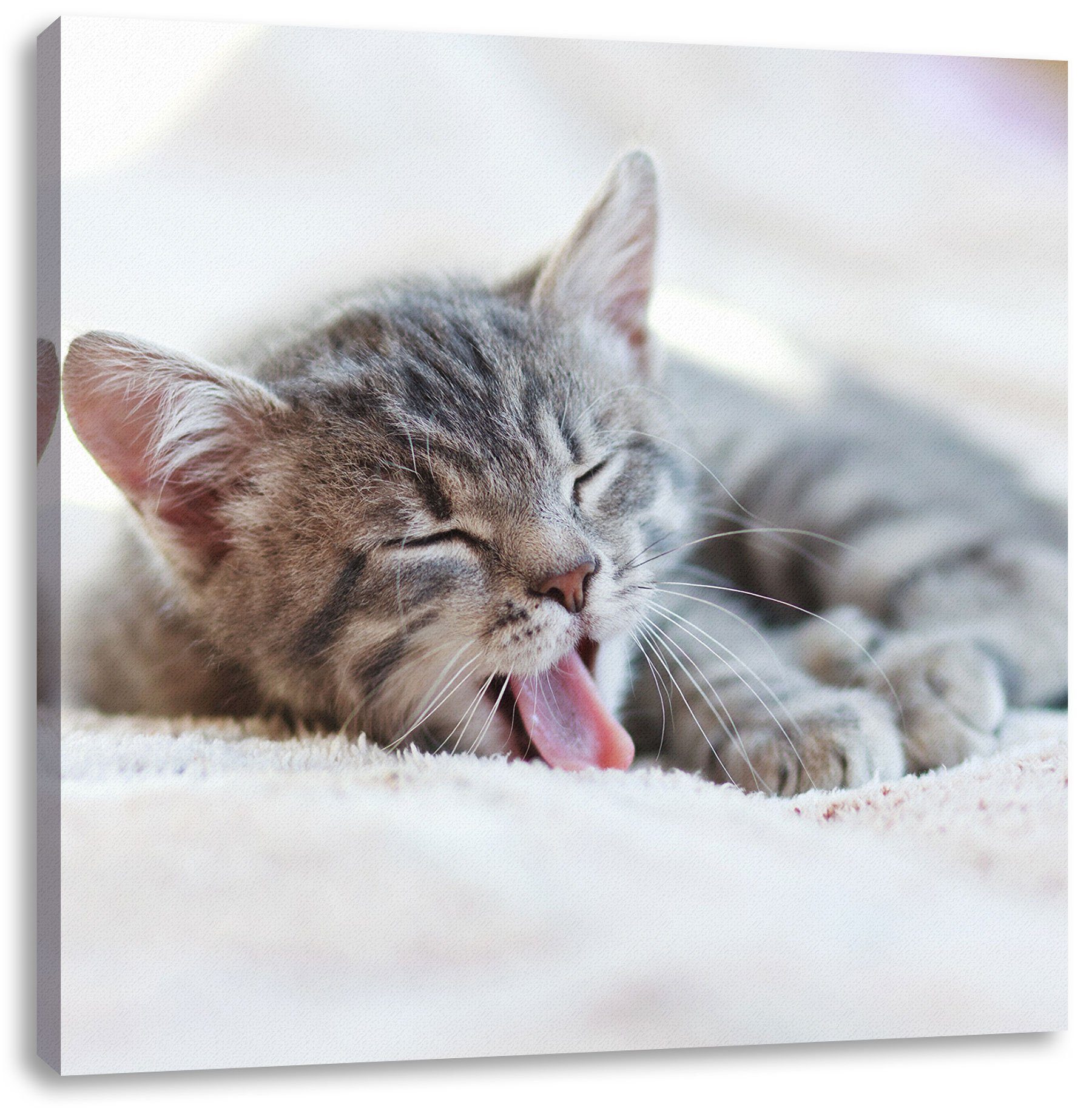Pixxprint Leinwandbild Kleines Kätzchen, Kleines Kätzchen (1 St), Leinwandbild fertig bespannt, inkl. Zackenaufhänger