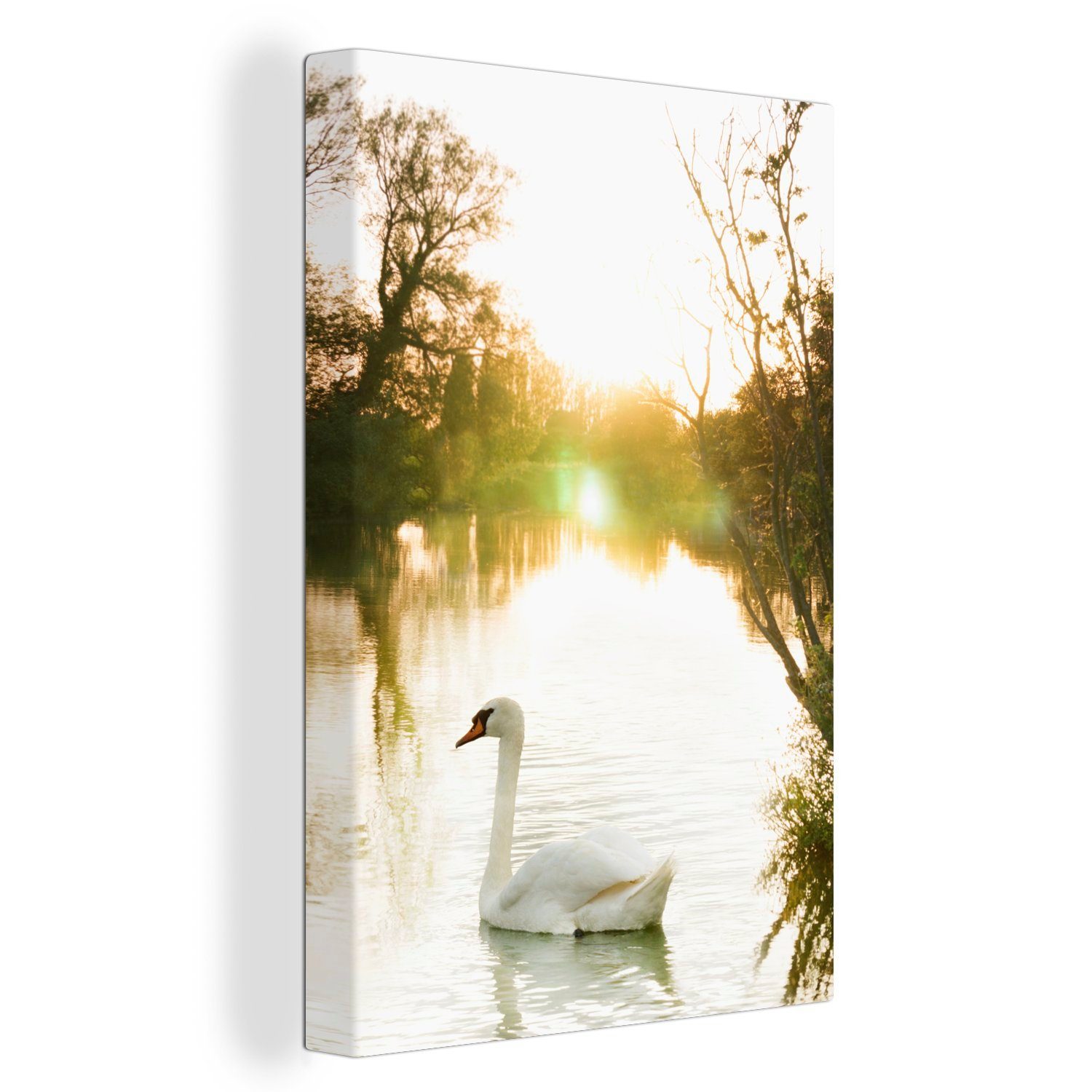 OneMillionCanvasses® Leinwandbild Schwan - Sonne - Natur, (1 St), Leinwandbild fertig bespannt inkl. Zackenaufhänger, Gemälde, 20x30 cm