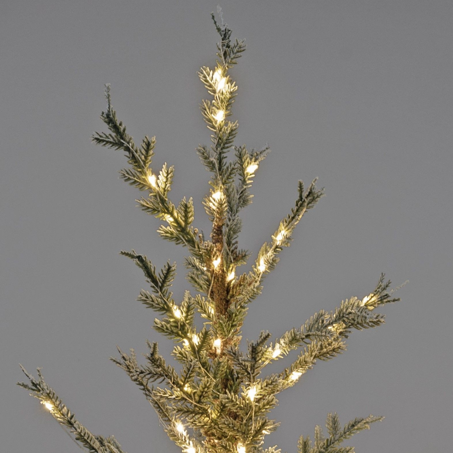 Kunstblume Tannen, formano, Höhe 55 cm, Mit Timerfunktion, Grün, Motiv: Ros günstig online kaufen