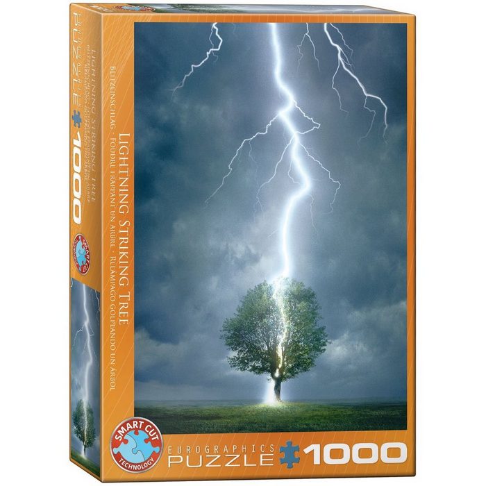EUROGRAPHICS Puzzle Puzzles 501 bis 1000 Teile 6000-4570 Puzzleteile