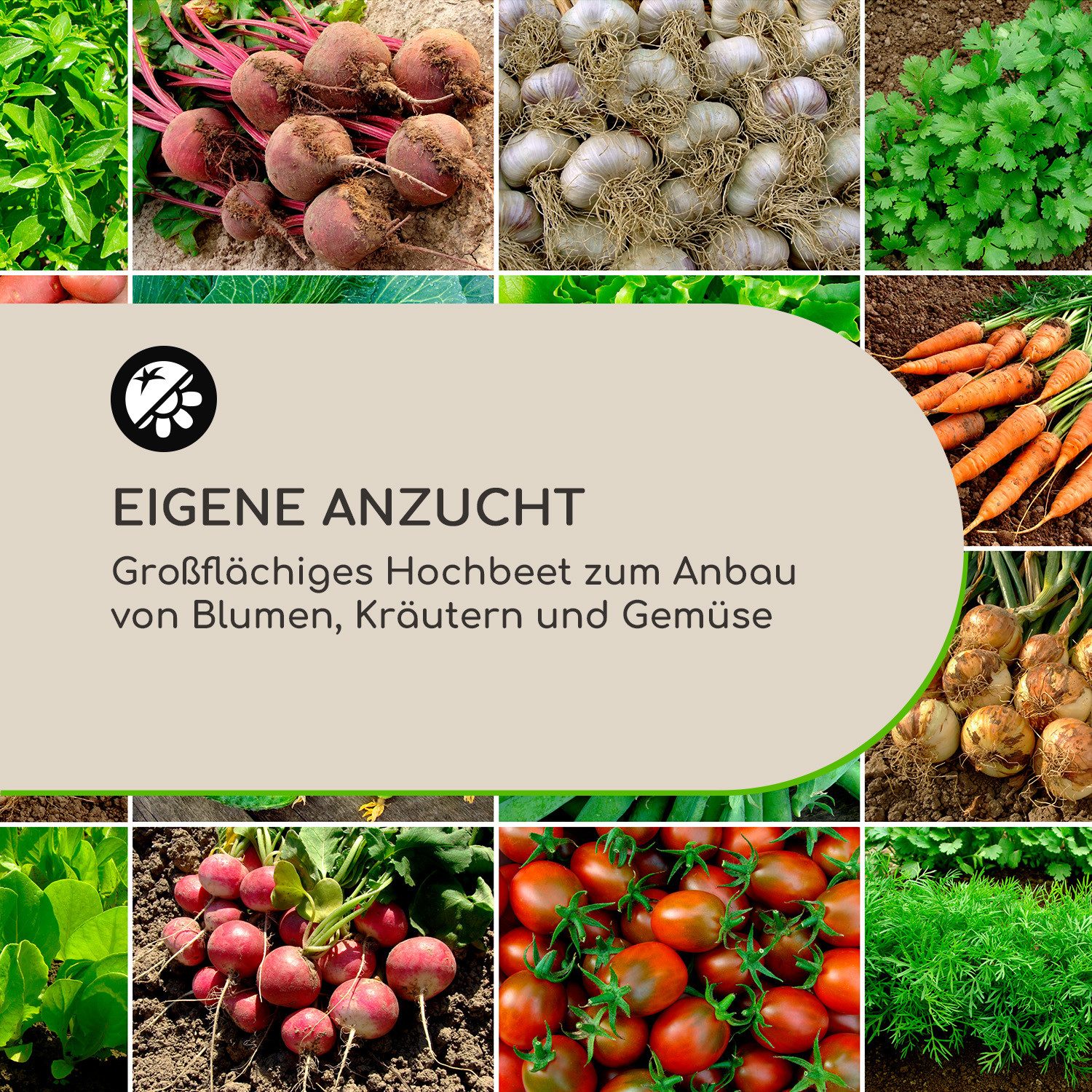 blumfeldt Hochbeet High Grow Straight, Hochbeet Metall Balkon Pflanzkasten Pflanzkübel Blumenkasten