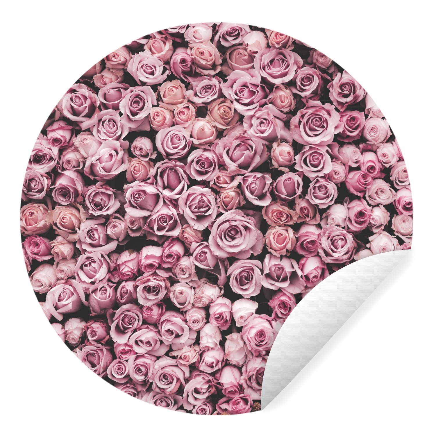 MuchoWow Wandsticker Blumen - Rosen - Natur - Rosa - Botanisch (1 St), Wandtattoo Selbstklebend, Wohnzimmer Deko Aufkleber, 30x30 cm