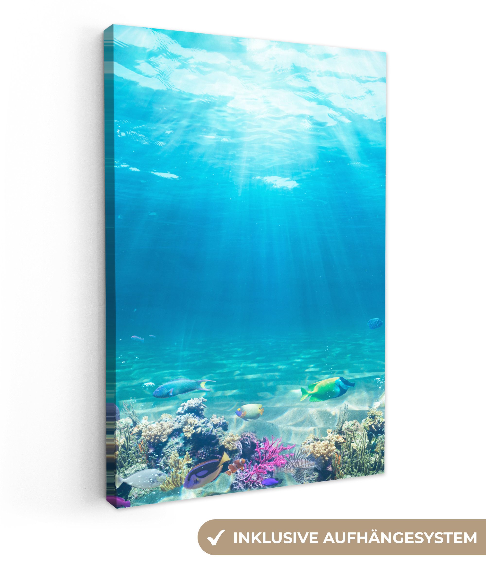 OneMillionCanvasses® Leinwandbild Unterwasserwelt - Meerestiere - günstig online kaufen