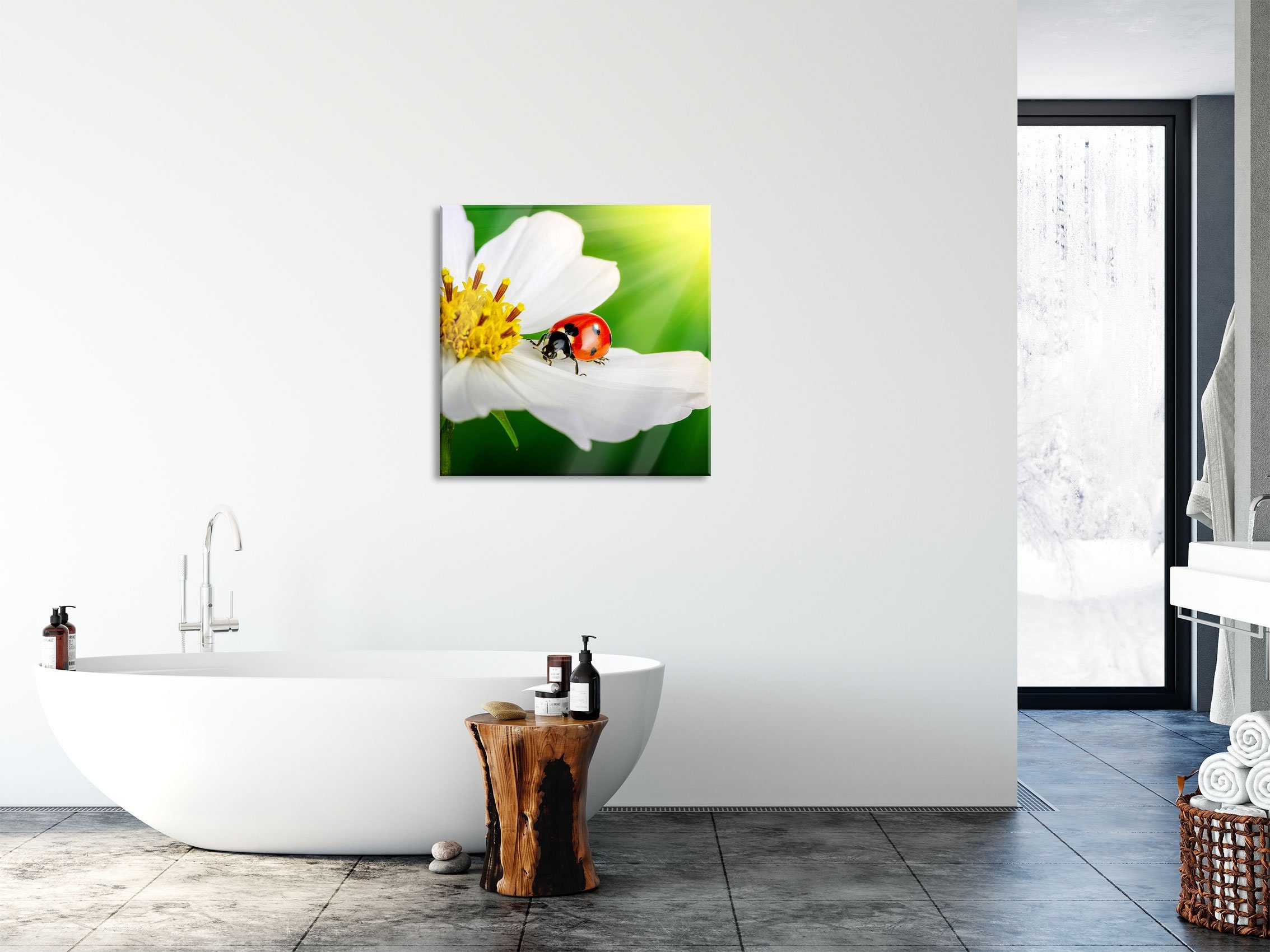 Glasbild auf einer einer auf aus weißen und Marienkäfer Pixxprint St), Glasbild Marienkäfer Blume (1 inkl. weißen Echtglas, Abstandshalter Blume, Aufhängungen