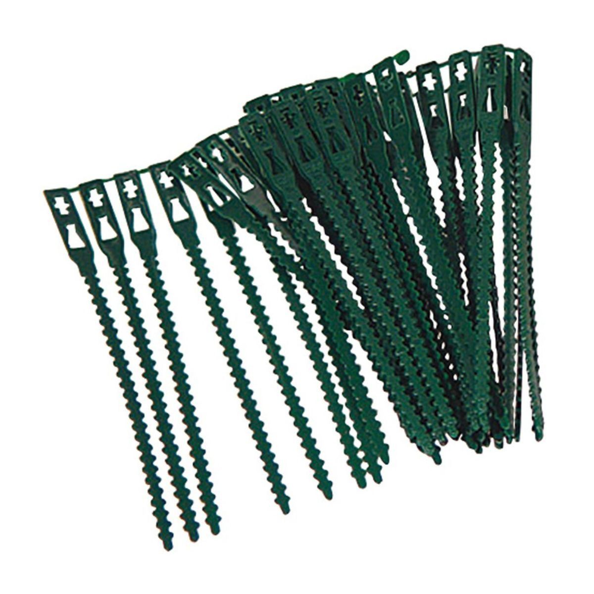 XCLOU Spalier Pflanzenbinder 40 Stück grün ca. 16,5cm