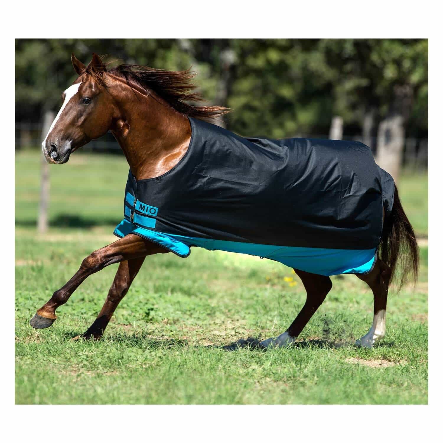 Horseware Ausreitdecke Outdoordecke Mio Turnout Medium 200g