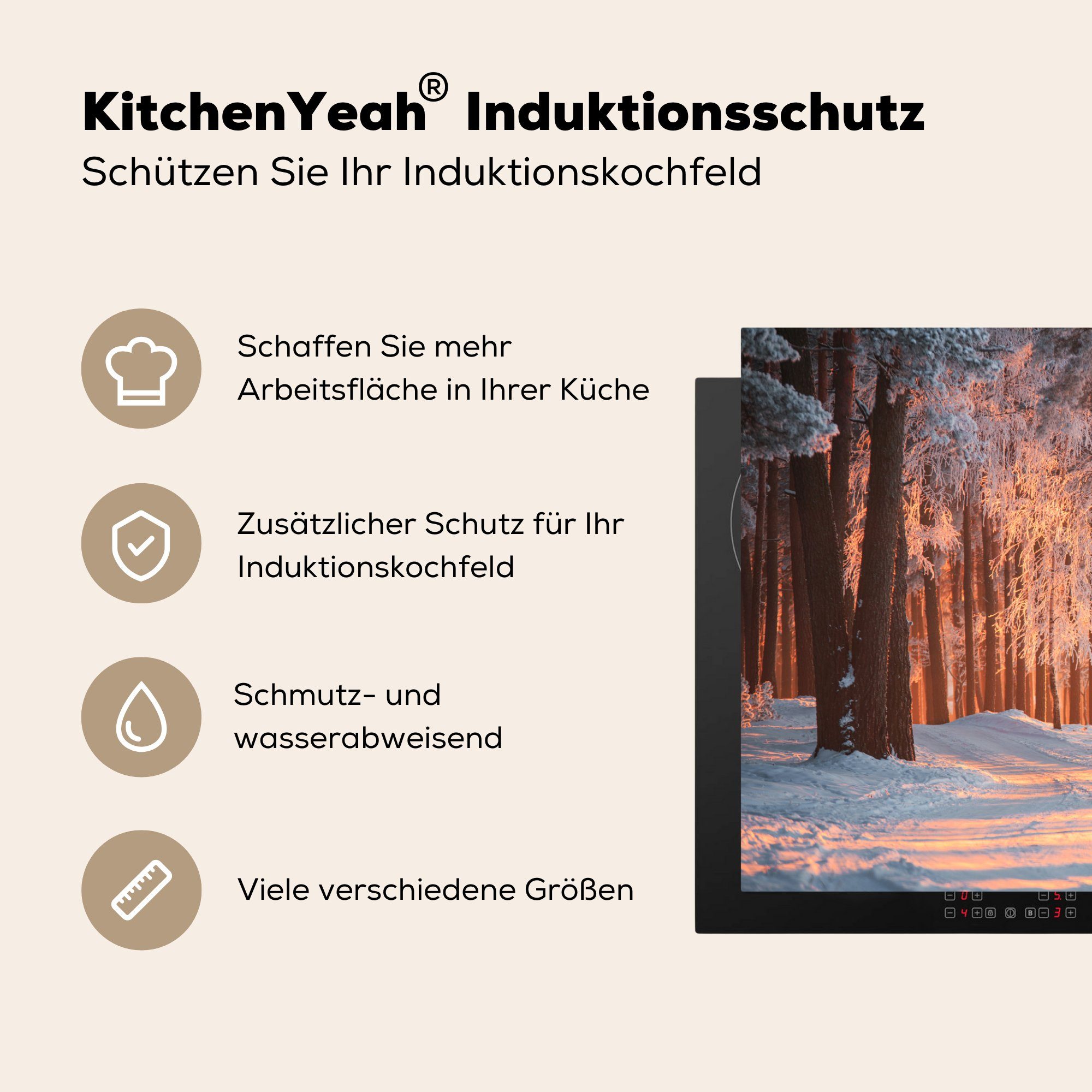 cm, - Baum, - Induktionskochfeld (1 tlg), küche, Winter Vinyl, MuchoWow Wald Herdblende-/Abdeckplatte Schutz Ceranfeldabdeckung die 81x52 für