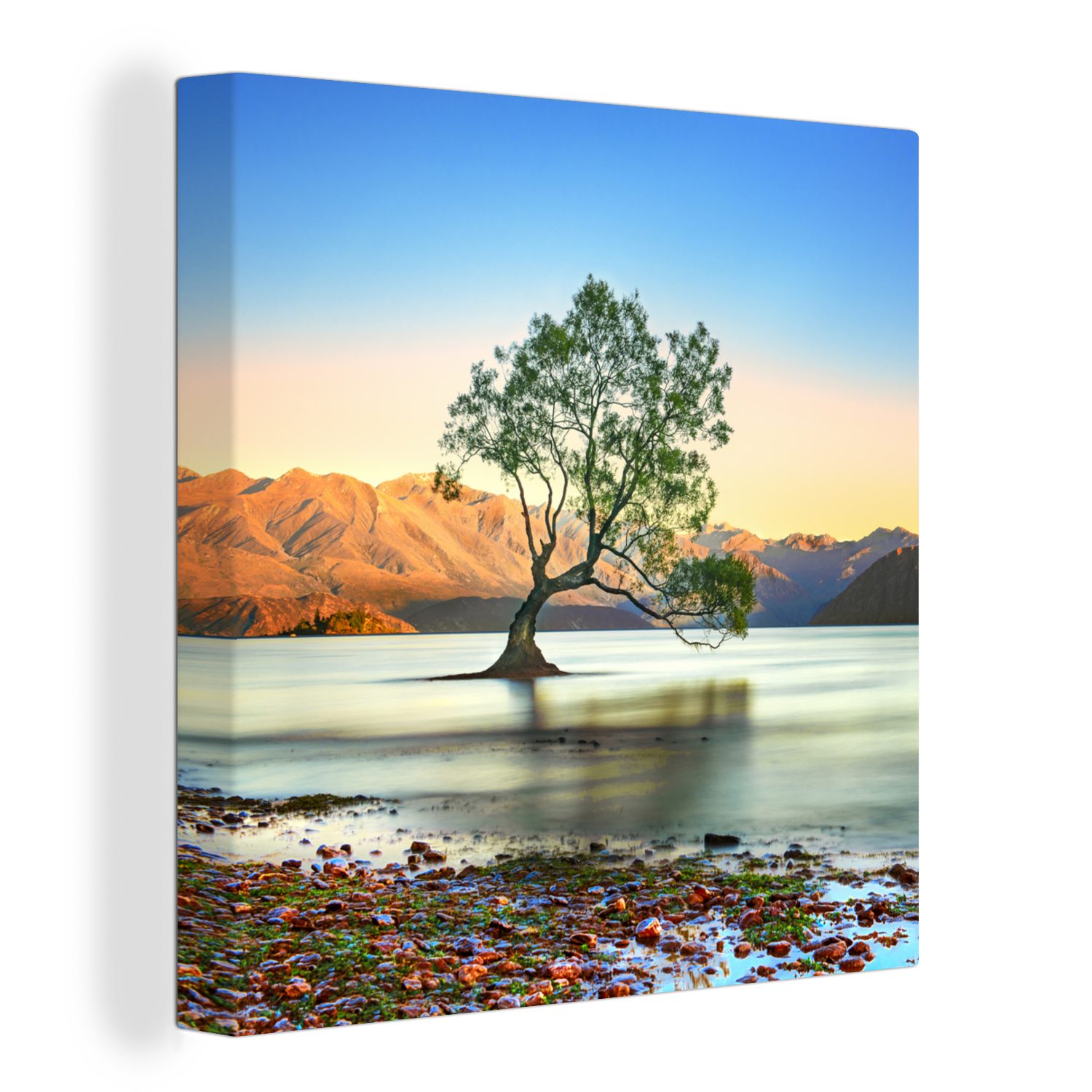 OneMillionCanvasses® Leinwandbild Neuseeland - Baum - See, (1 St), Leinwand Bilder für Wohnzimmer Schlafzimmer