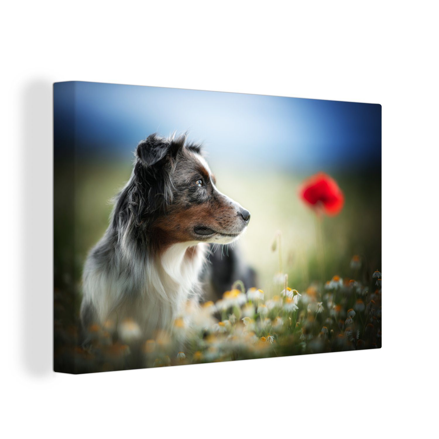 Hund Wandbild Blumen Farben, Leinwandbilder, 30x20 St), Wanddeko, cm Aufhängefertig, - - (1 Leinwandbild OneMillionCanvasses®