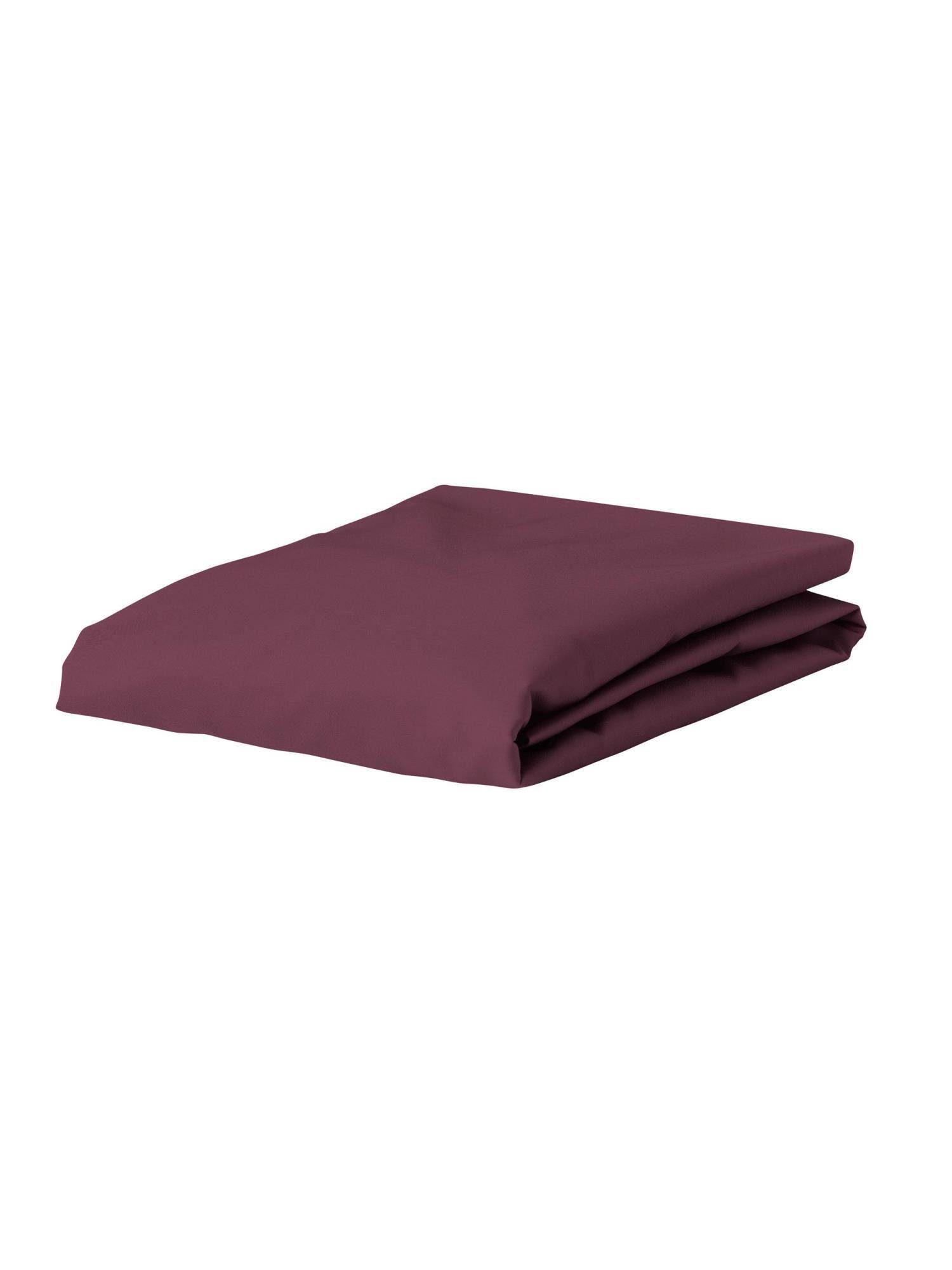 Essenza Spannbettlaken Premium Percale, Perkal, Gummizug: günstig online kaufen