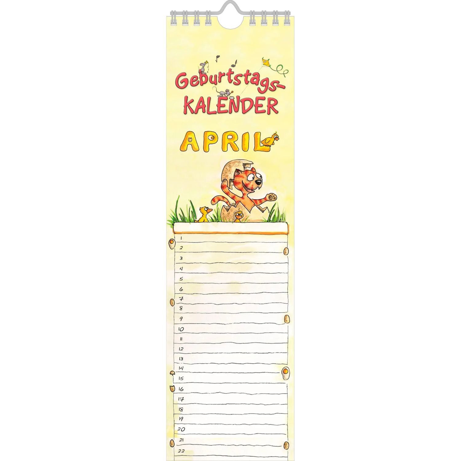 NEUMANN Wandkalender Geburtstagskalender Mini Cartoon