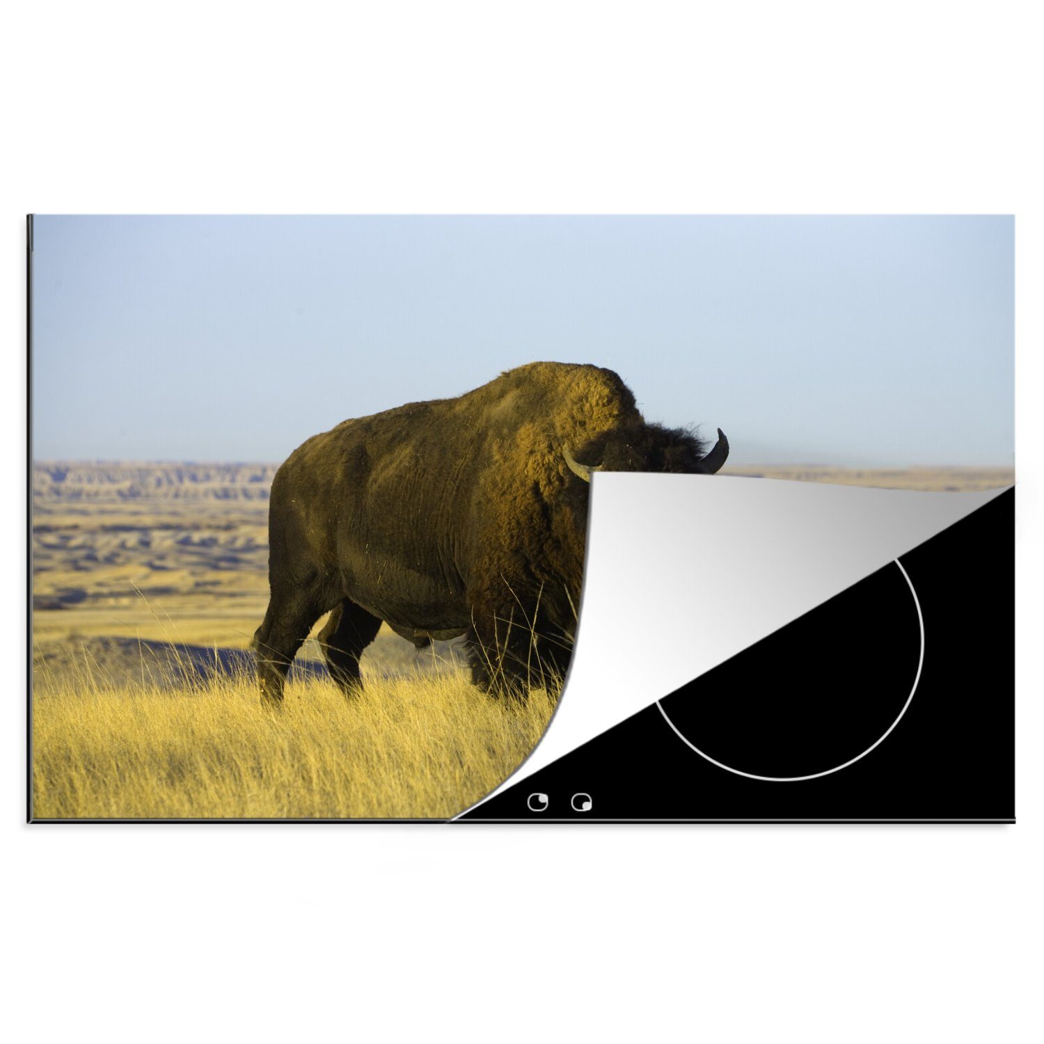 MuchoWow Herdblende-/Abdeckplatte Bison auf einem Feld in Amerika, Vinyl, (1 tlg), 81x52 cm, Induktionskochfeld Schutz für die küche, Ceranfeldabdeckung