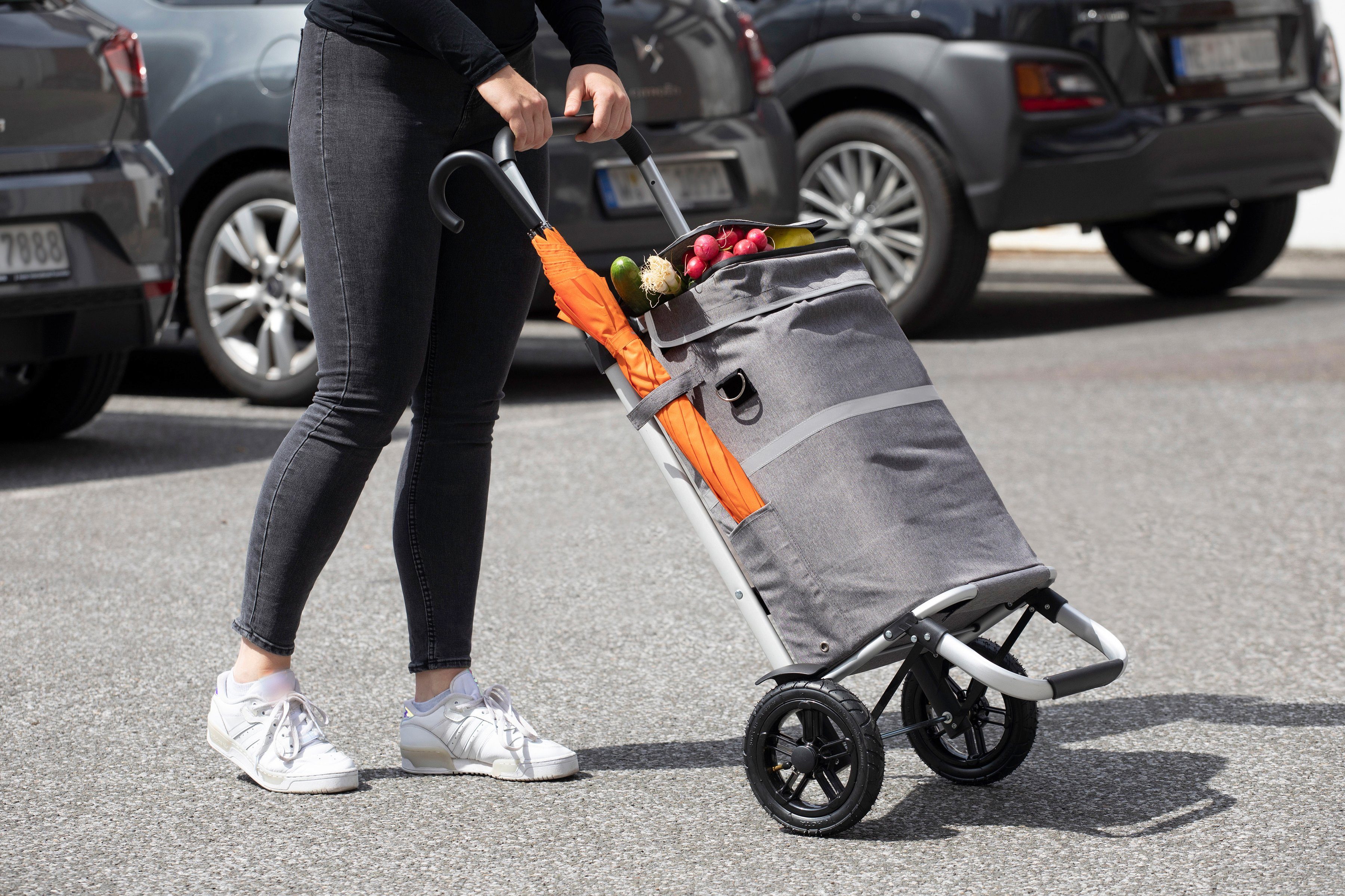 meister Einkaufstrolley 2 in 1, 45 und Kühltasche teleskopierbarem l, mit Griff