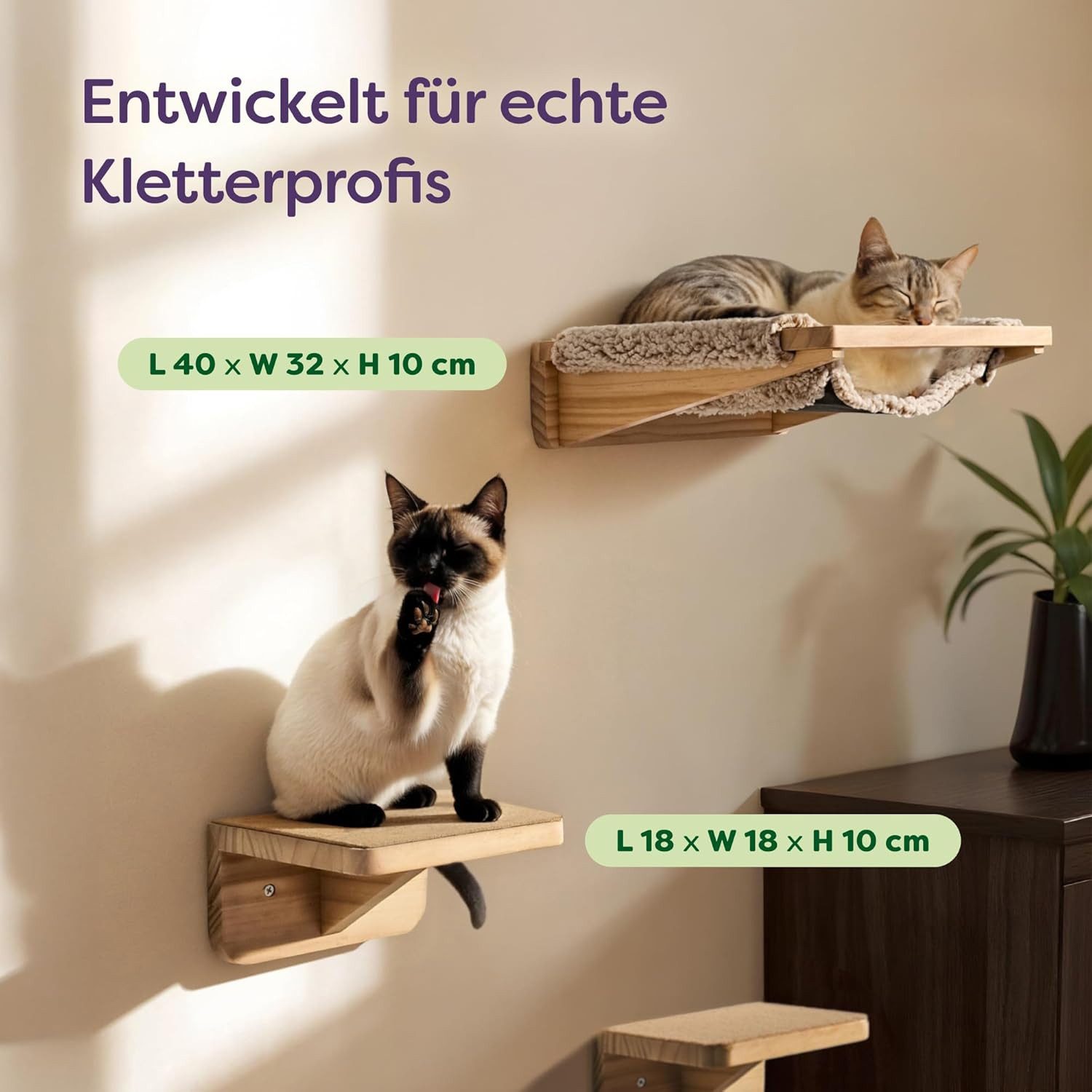 Knupis Kratzbaum Katzen Kletterwand Set mit Hängematte & 2X Katzentreppe - Kiefernholz, stabile Wandliege bis 30 kg – Für Spielspaß & Gemütlichkeit - FSC®