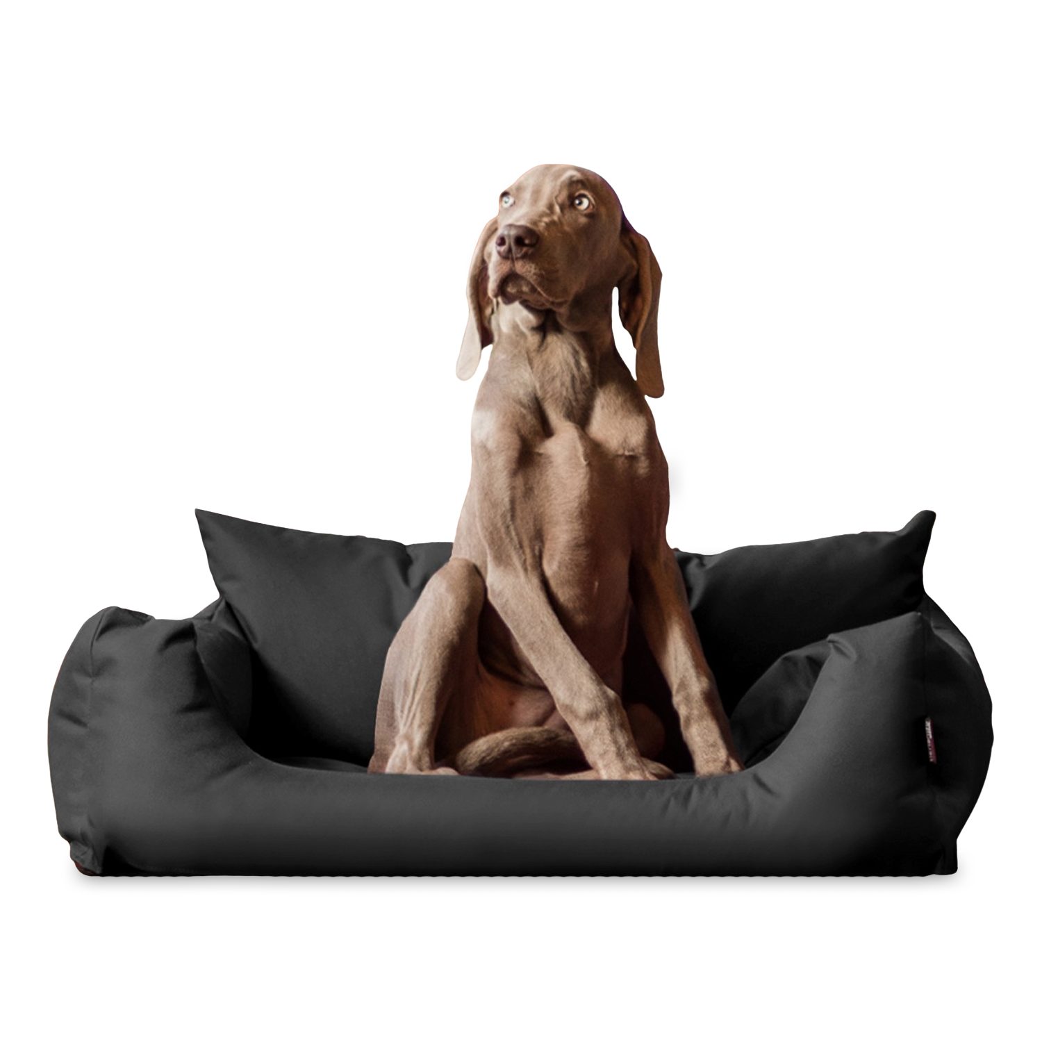 tierlando® Tierbett NEMO Hundebett Hundesofa S günstig online kaufen