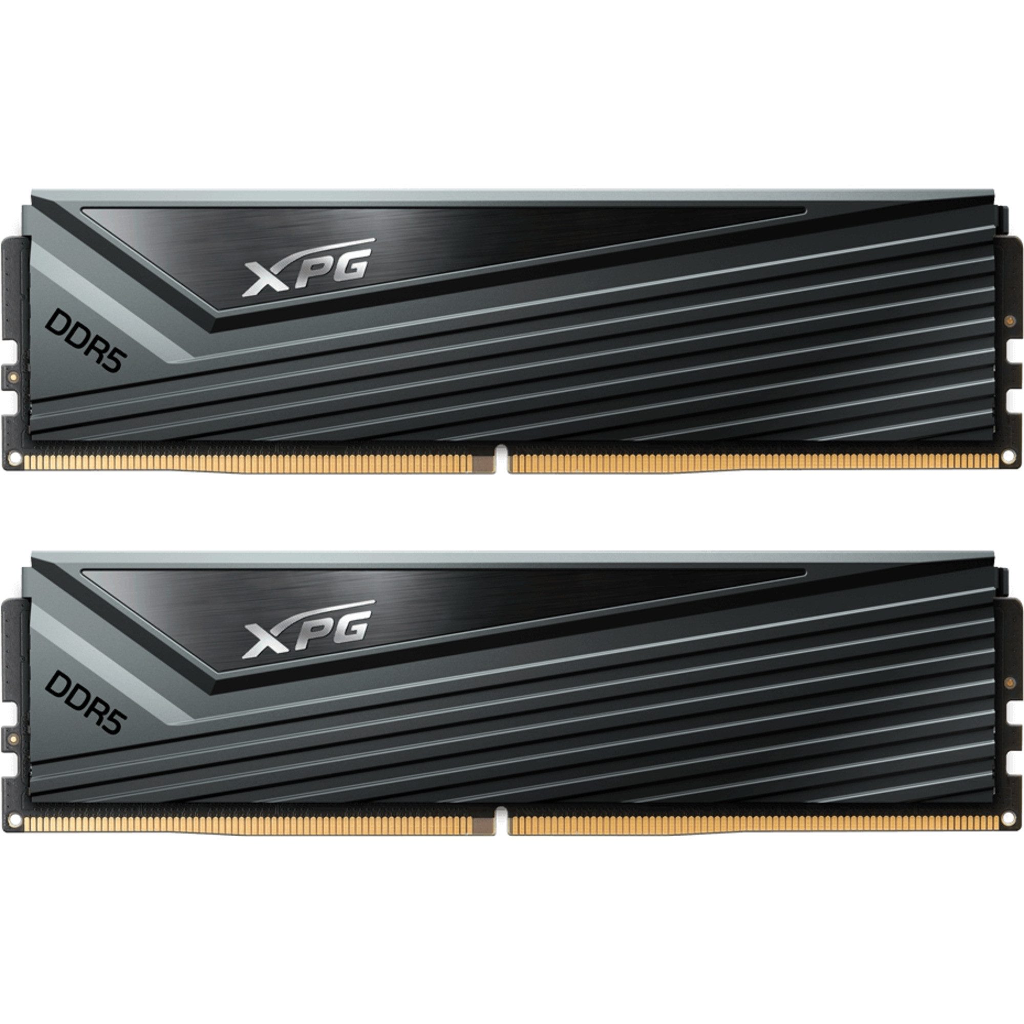 ADATA ADATA DIMM 32 GB DDR5-6400 (2x 16 GB) Dual-Kit, Arbeitsspeicher