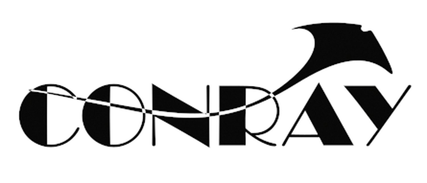 Conray Sweatshirt CONRAY Sweat-Hoody günstig online kaufen