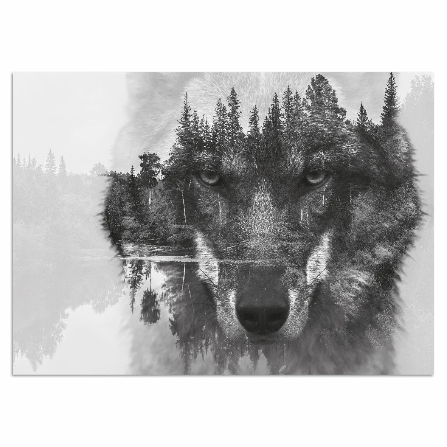 Home affaire Acrylglasbild Wolf, Baum, Baumbilder, Schwarz-Weiß, See, Seebilder, Seelandschaft, Tiere, Wildtiere, Wolfbilder, Yosemite Nationalpark, Fine Art-Print in Galeriequalität