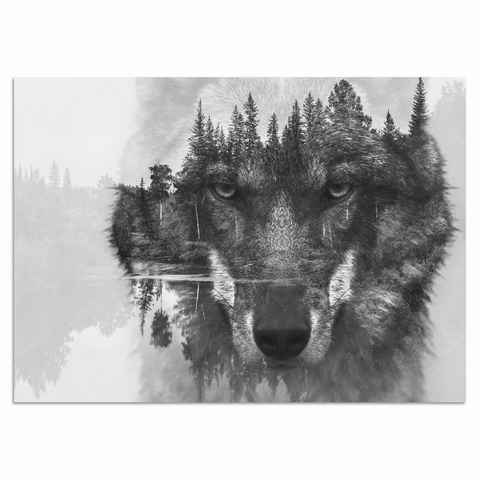Home affaire Acrylglasbild Wolf, 60/40 cm