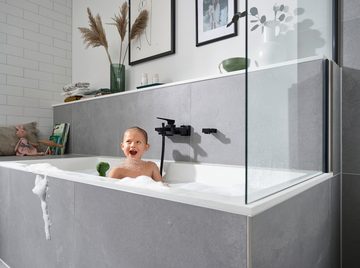 hansgrohe Handbrause